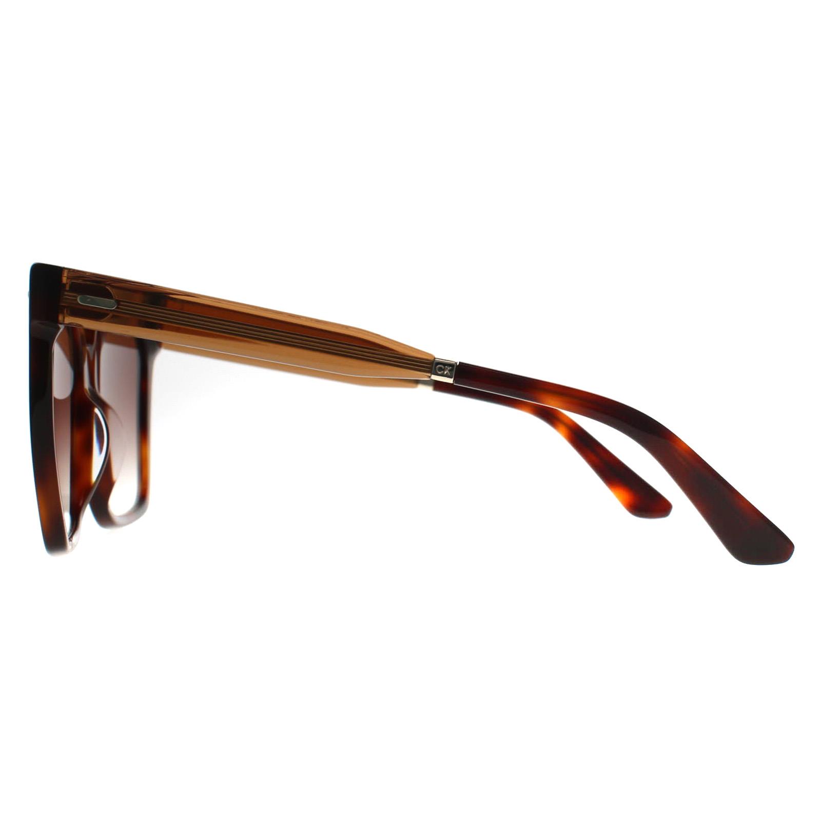 Brown Calvin Klein Brown Square Brown Havana Brown Gradient CK22534S, Image 3 of 3
