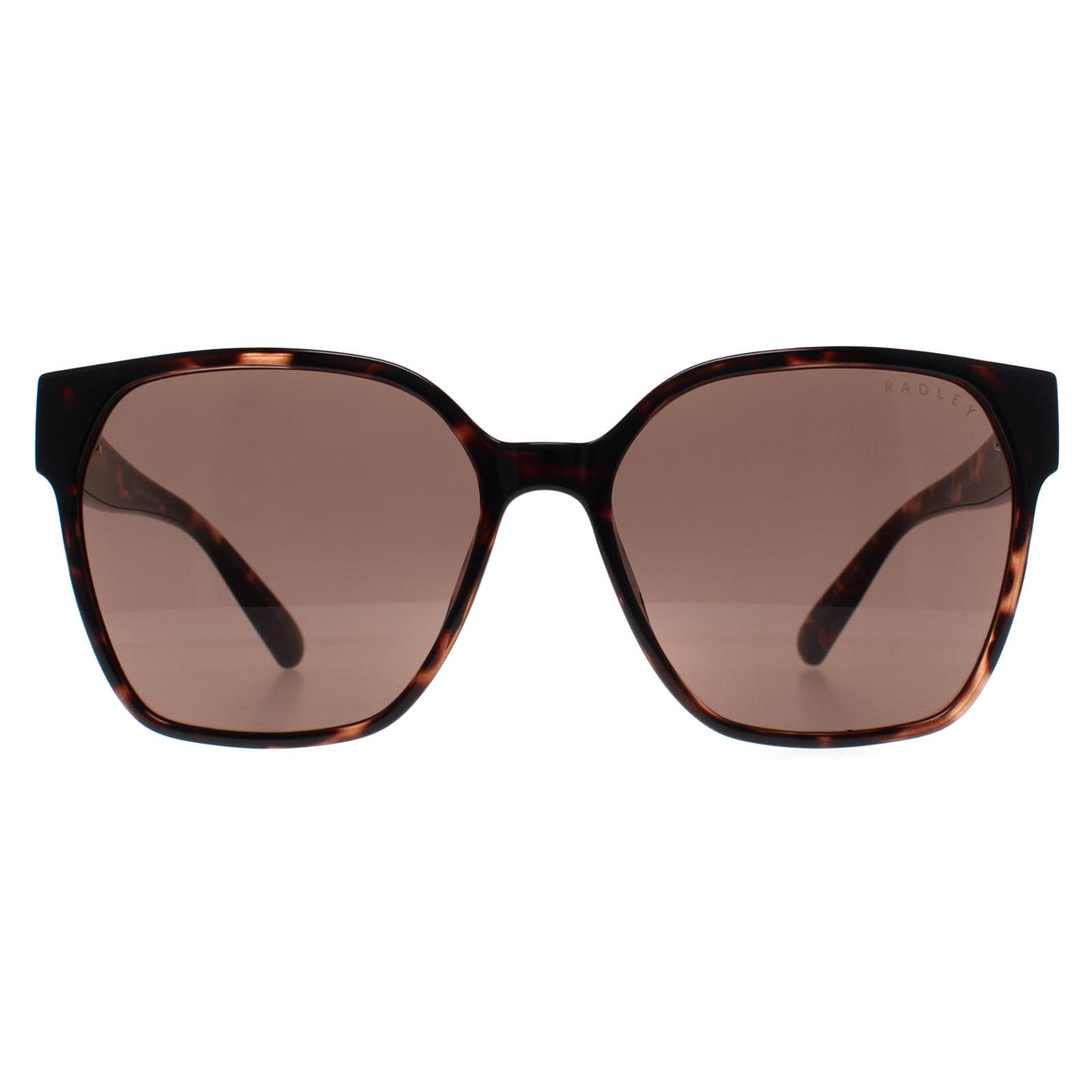 Brown Square Havana Brown RDS-6528-102, Image 1 of 4