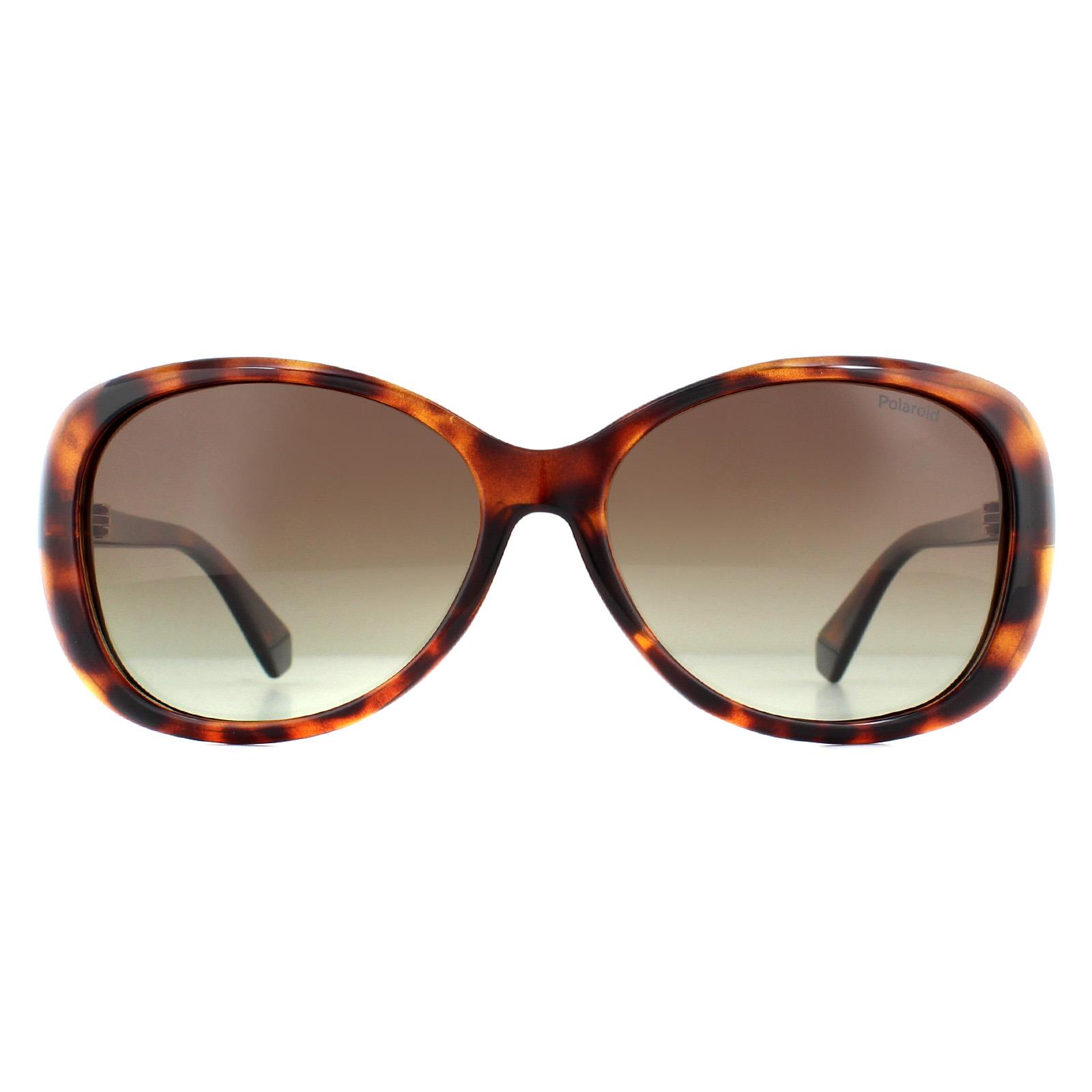Brown Fashion Havana Brown Gradient Polarized Sunglasses, Image 1 of 4