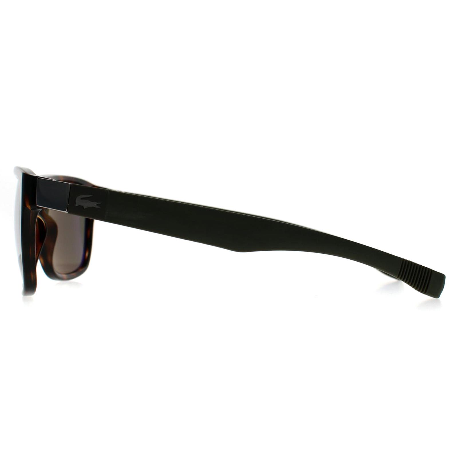 Brown Lacoste Brown Rectangle Dark Havana Green L664S, Image 3 of 3