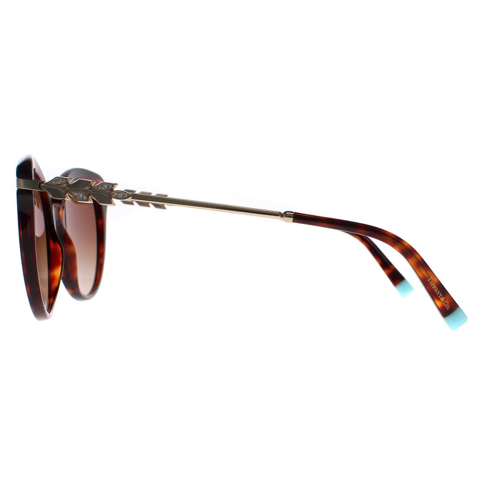 Brown Cat Eye Havana Brown Gradient TF4189, Image 3 of 6