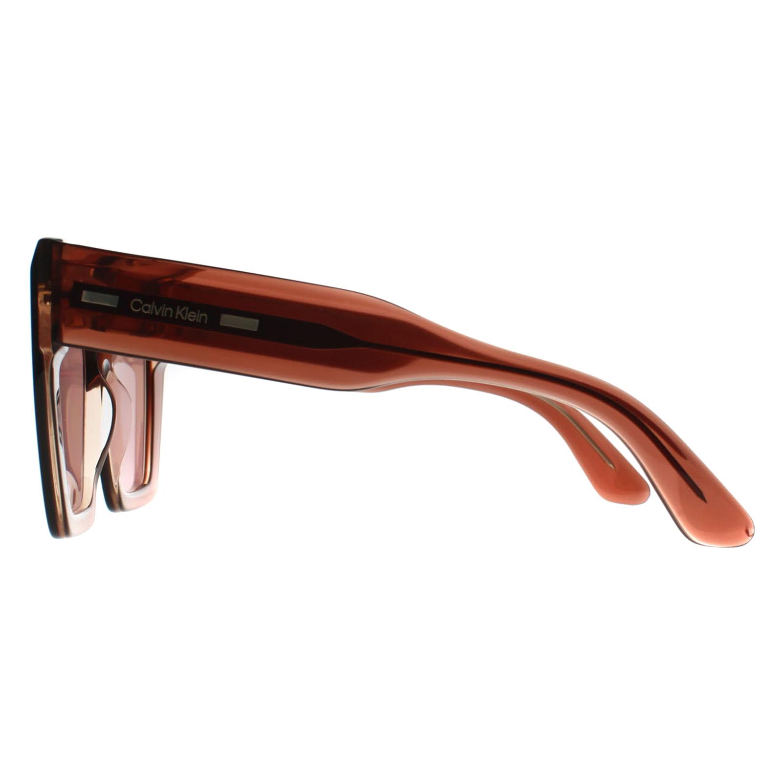 Brown Square Transparent Dark Brown Burgundy CK23502S, Image 3 of 3