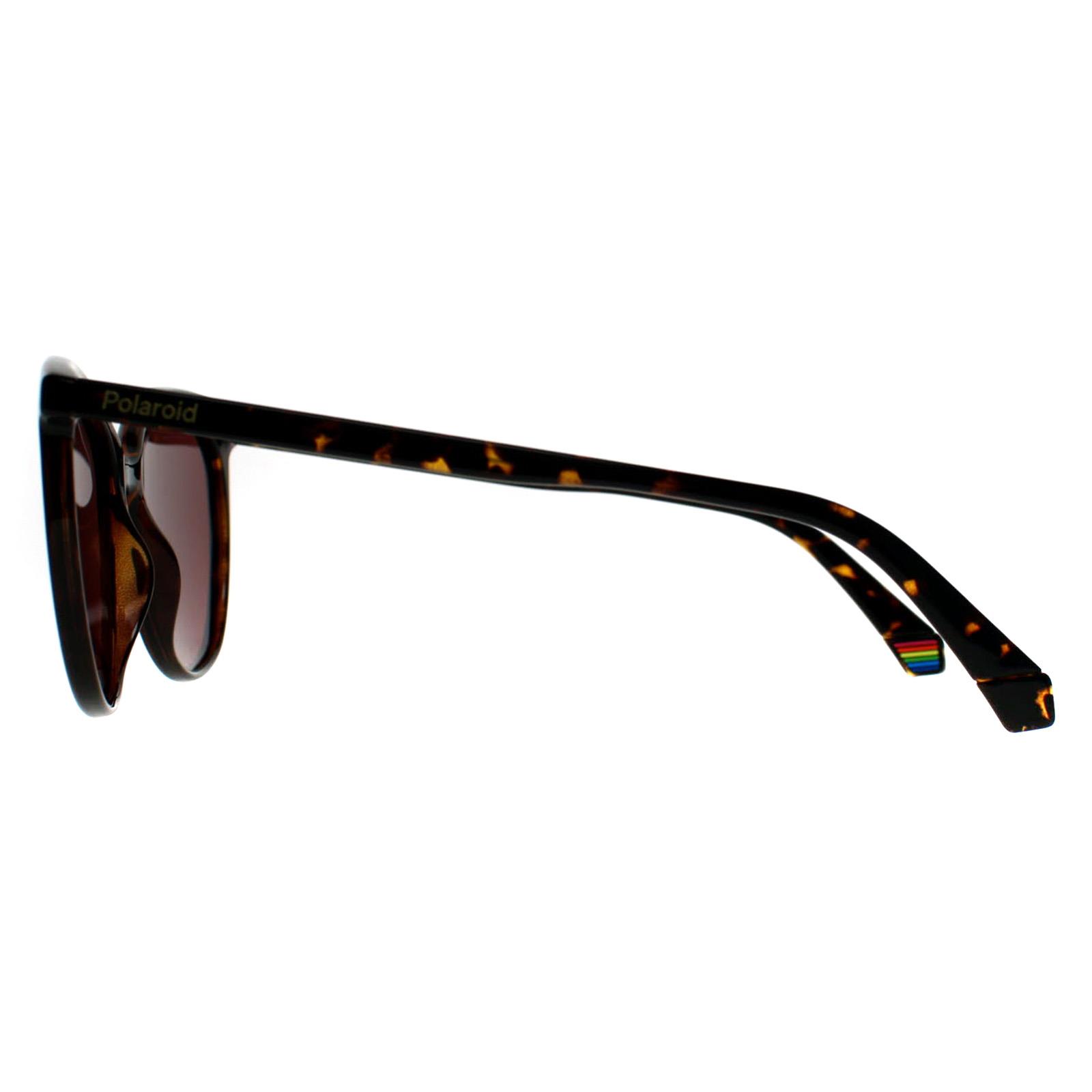 Brown Cat Eye Havana Violet Polarized PLD 6231/S, Image 3 of 3