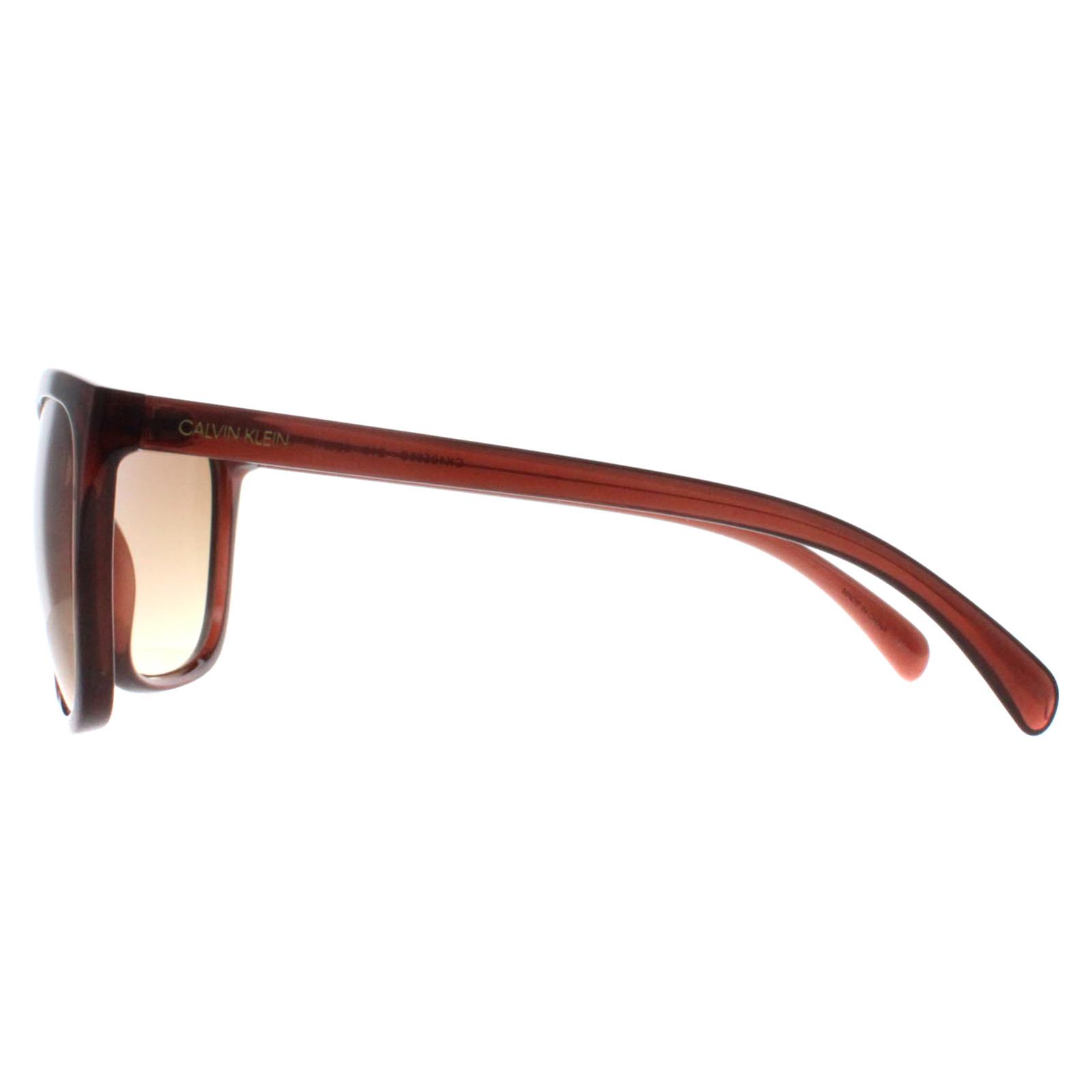 Brown Calvin Klein Brown Cat Eye Milky Brown Brown Gradient CK19565S, Image 3 of 4