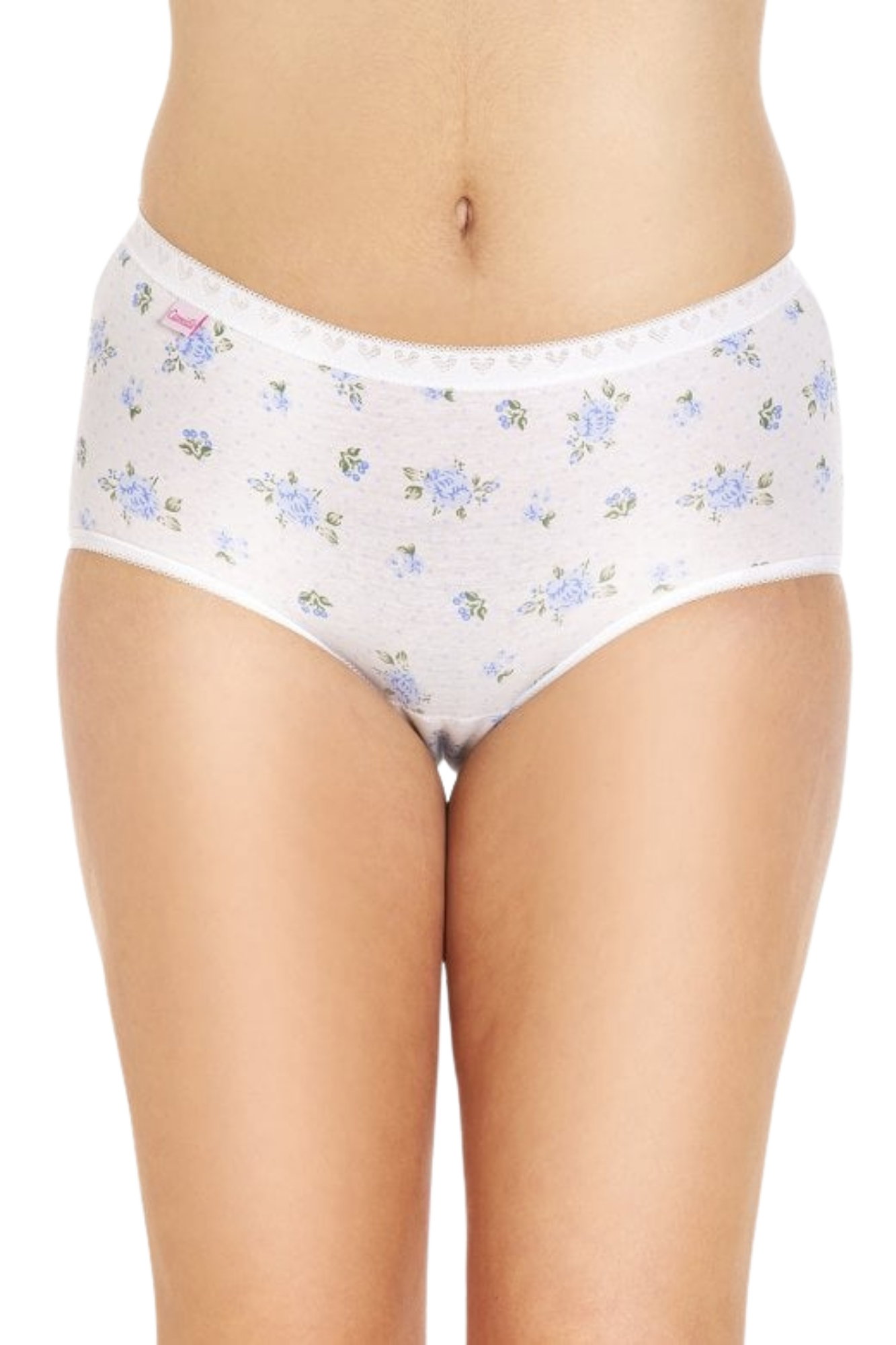 Multi Camille Lingerie Multi 3 Pack Cotton Maxi Briefs, Image 1 of 5