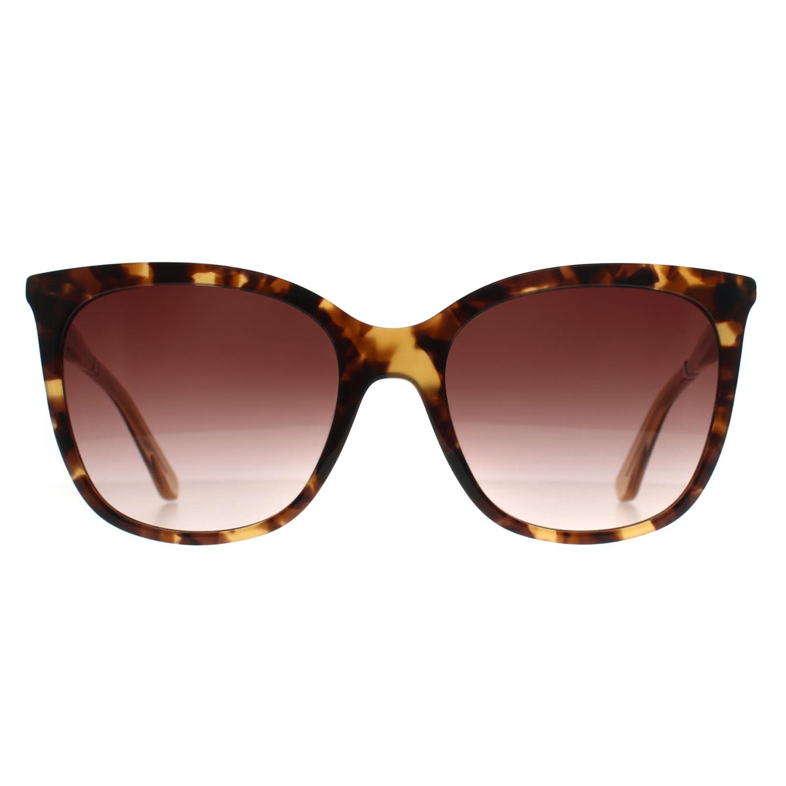 Brown Calvin Klein Brown Round Dark Tortoise Dark Brown Gradient CK23500S, Image 1 of 3