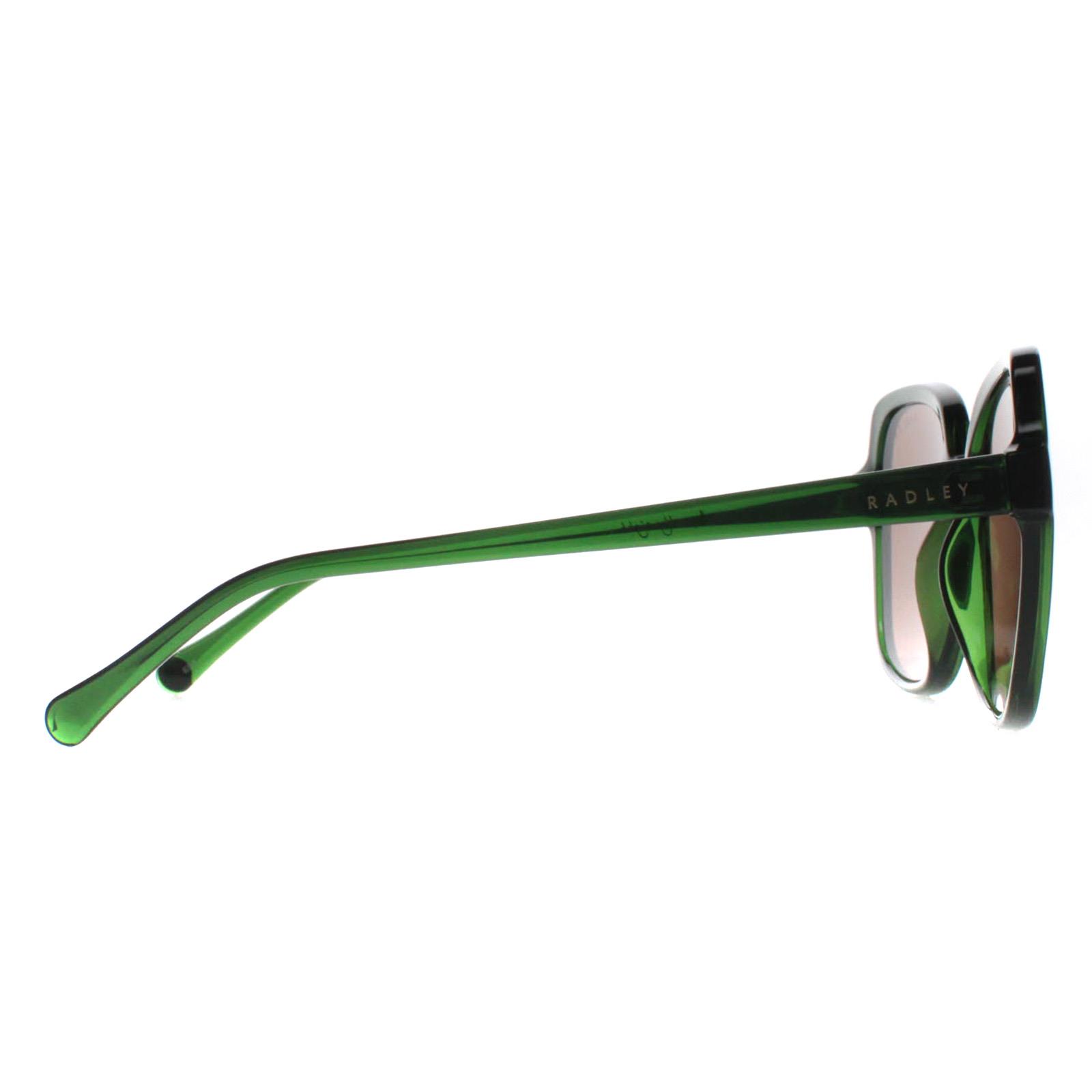 Green Radley Green Square Transparent Dark Green Brown Phoenix 6505, Image 4 of 4