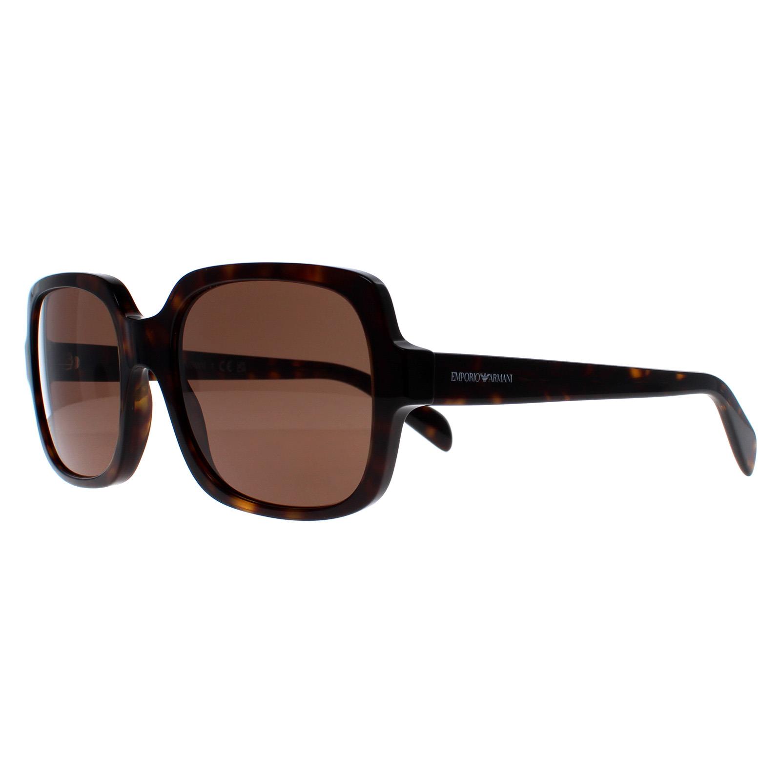 Brown Square Shiny Havana Dark Brown EA4195, Image 2 of 5