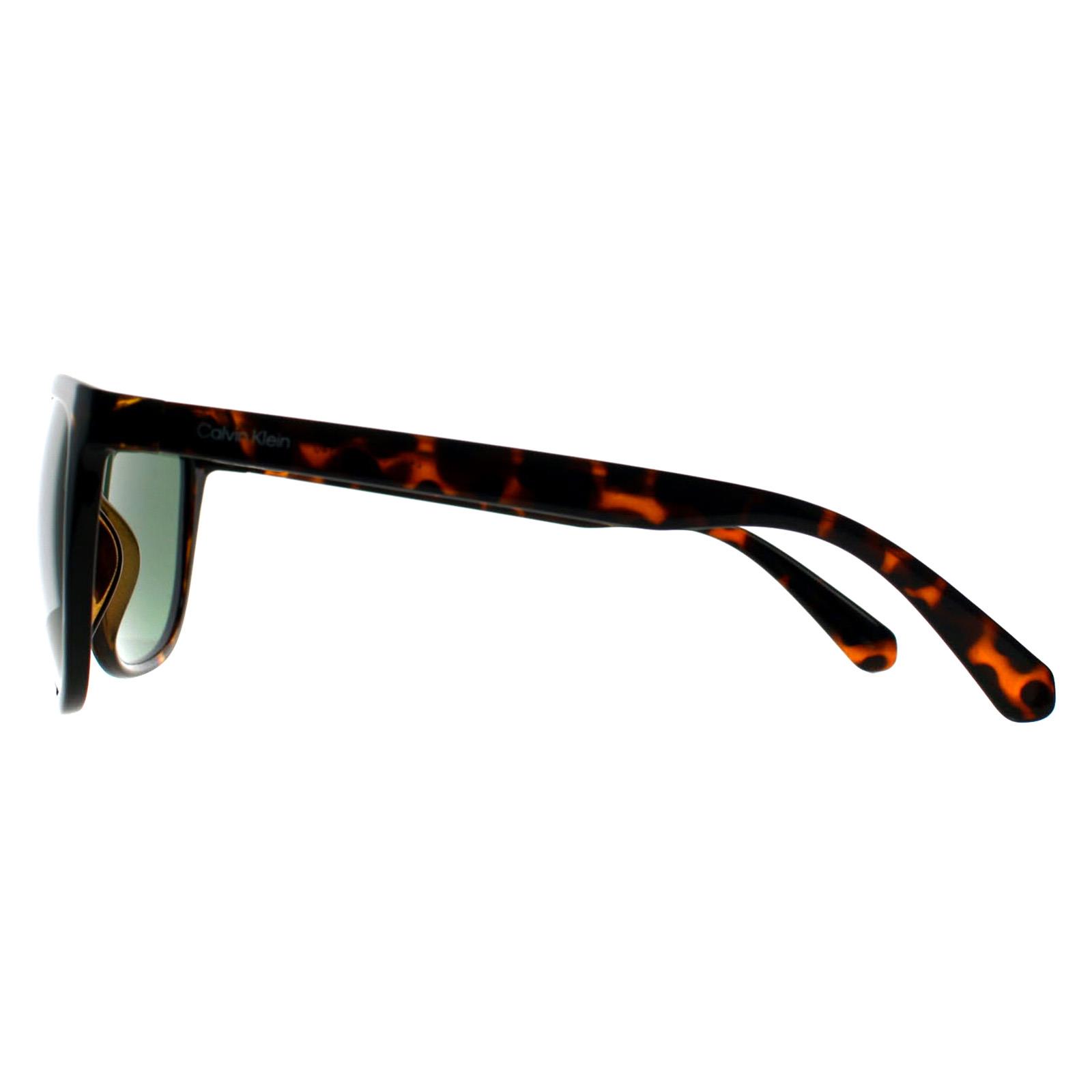 Brown Square Shiny Havana Green CK22557S, Image 3 of 3
