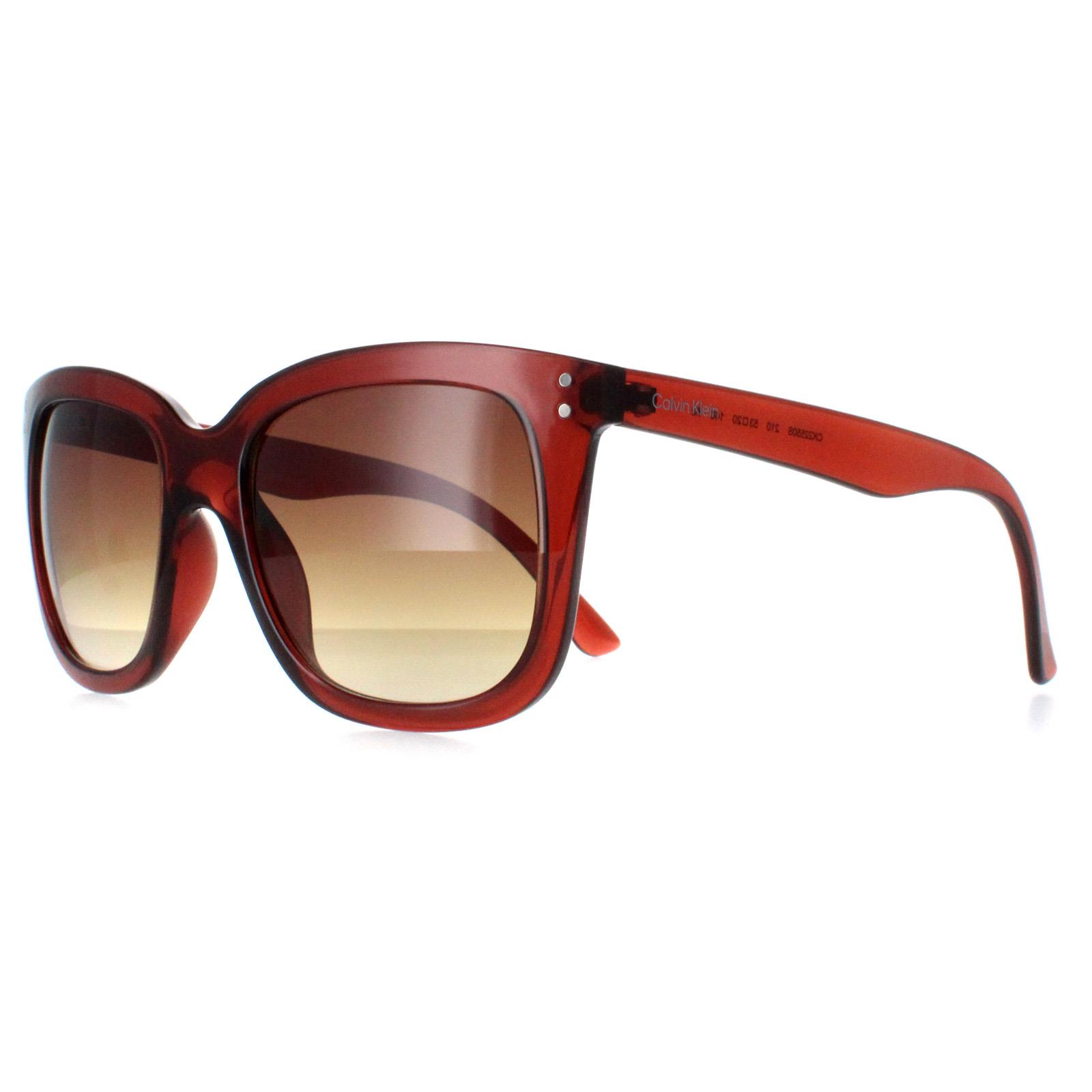 Brown Calvin Klein Brown Square Transparent Brown Brown Gradient CK22550S, Image 2 of 4