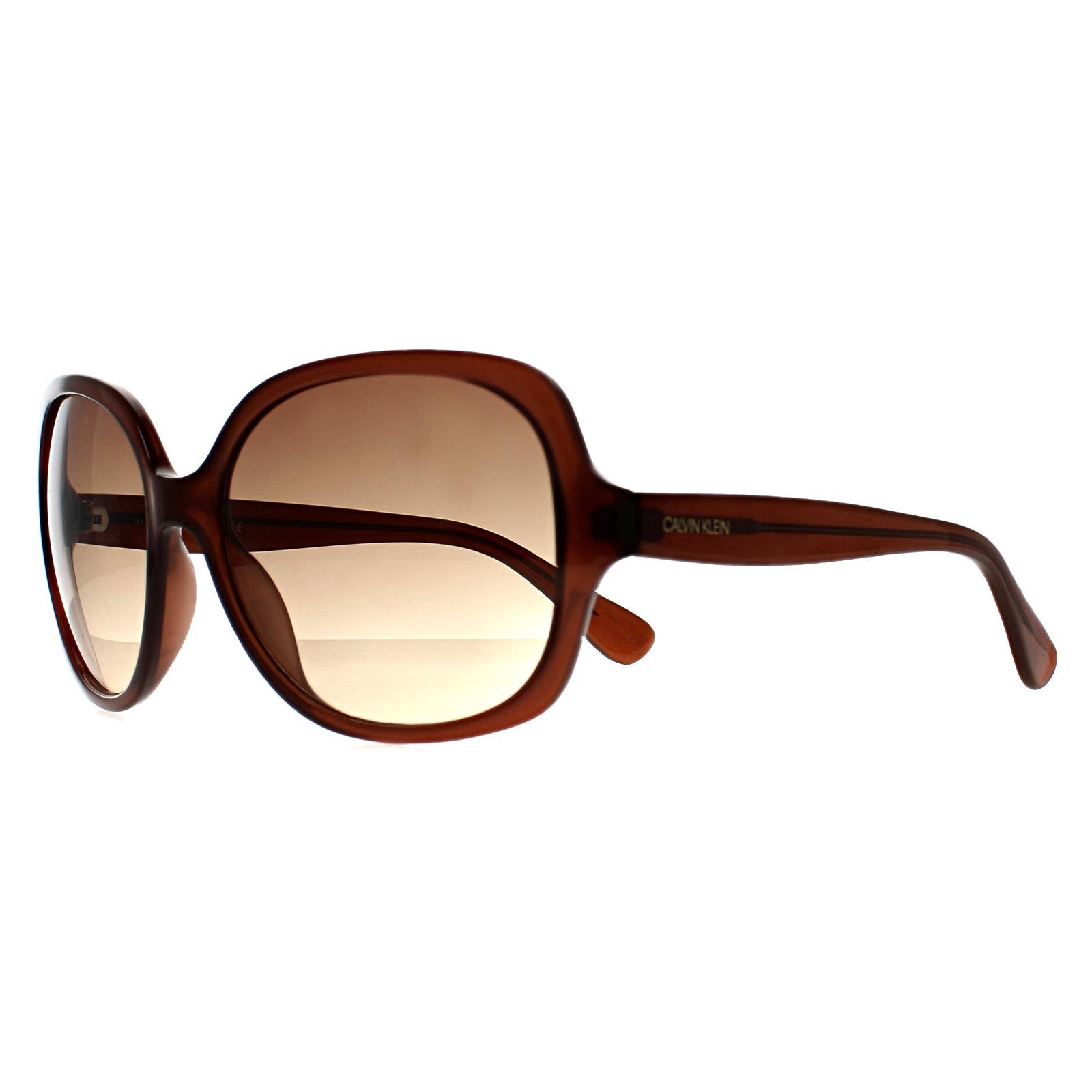 Brown Calvin Klein Brown Cat Eye Crystal Brown Brown Gradient CK19538S, Image 2 of 3