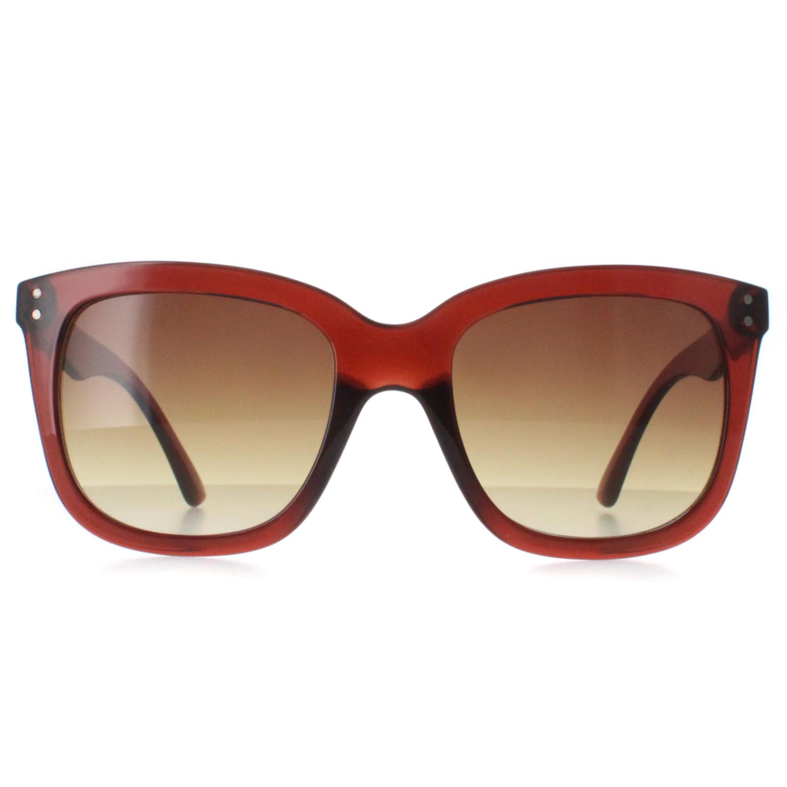 Brown Calvin Klein Brown Square Transparent Brown Brown Gradient CK22550S, Image 1 of 4