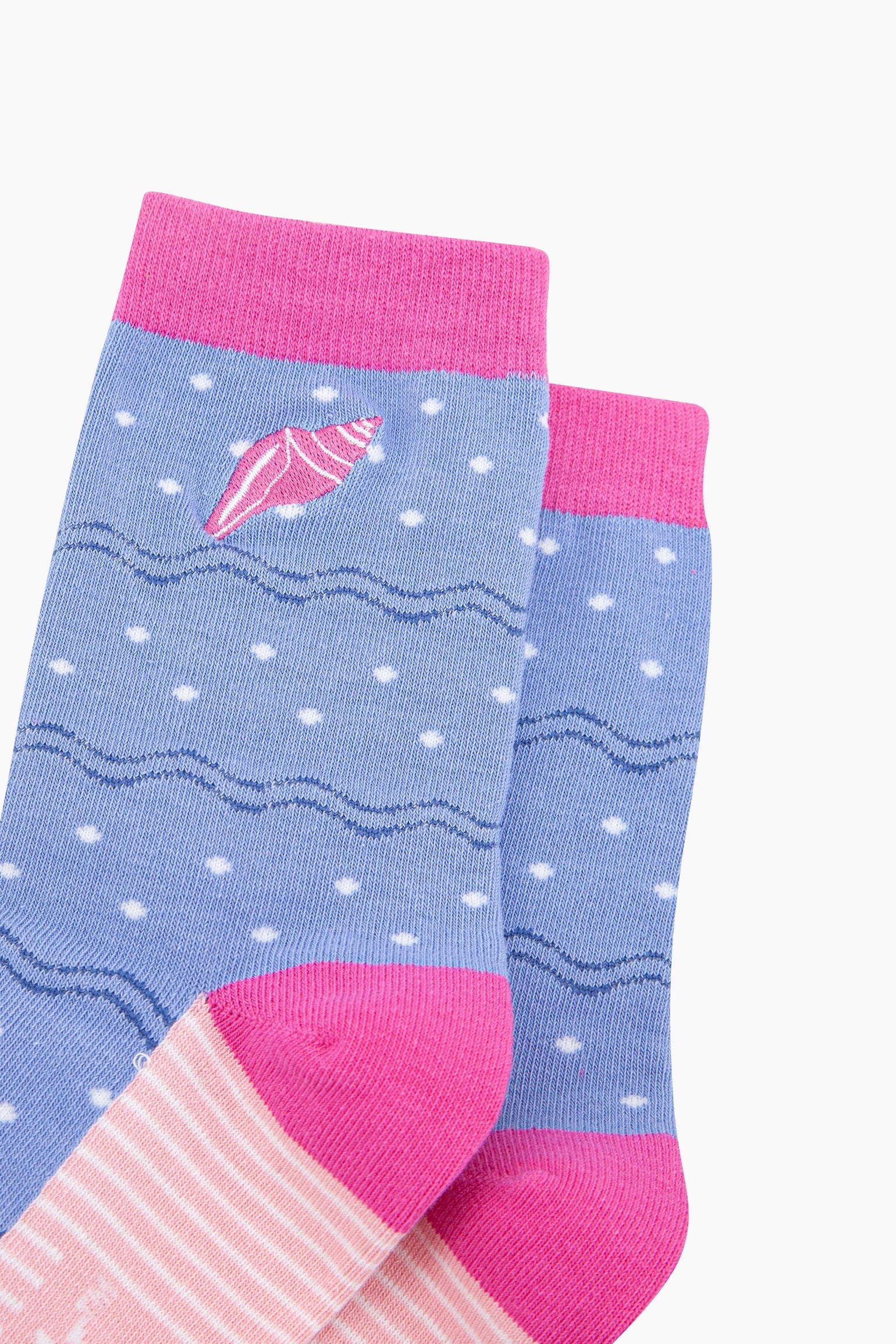 Blue Embroidered Conch Shell Combed Cotton Socks, Image 2 of 4