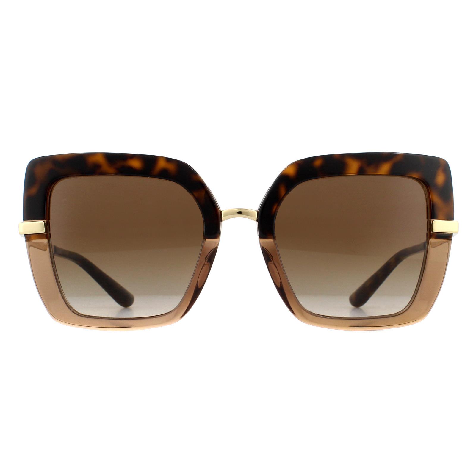 Brown Square Top Havana on Transparent Brown Brown Gradient Sunglasses, Image 1 of 6
