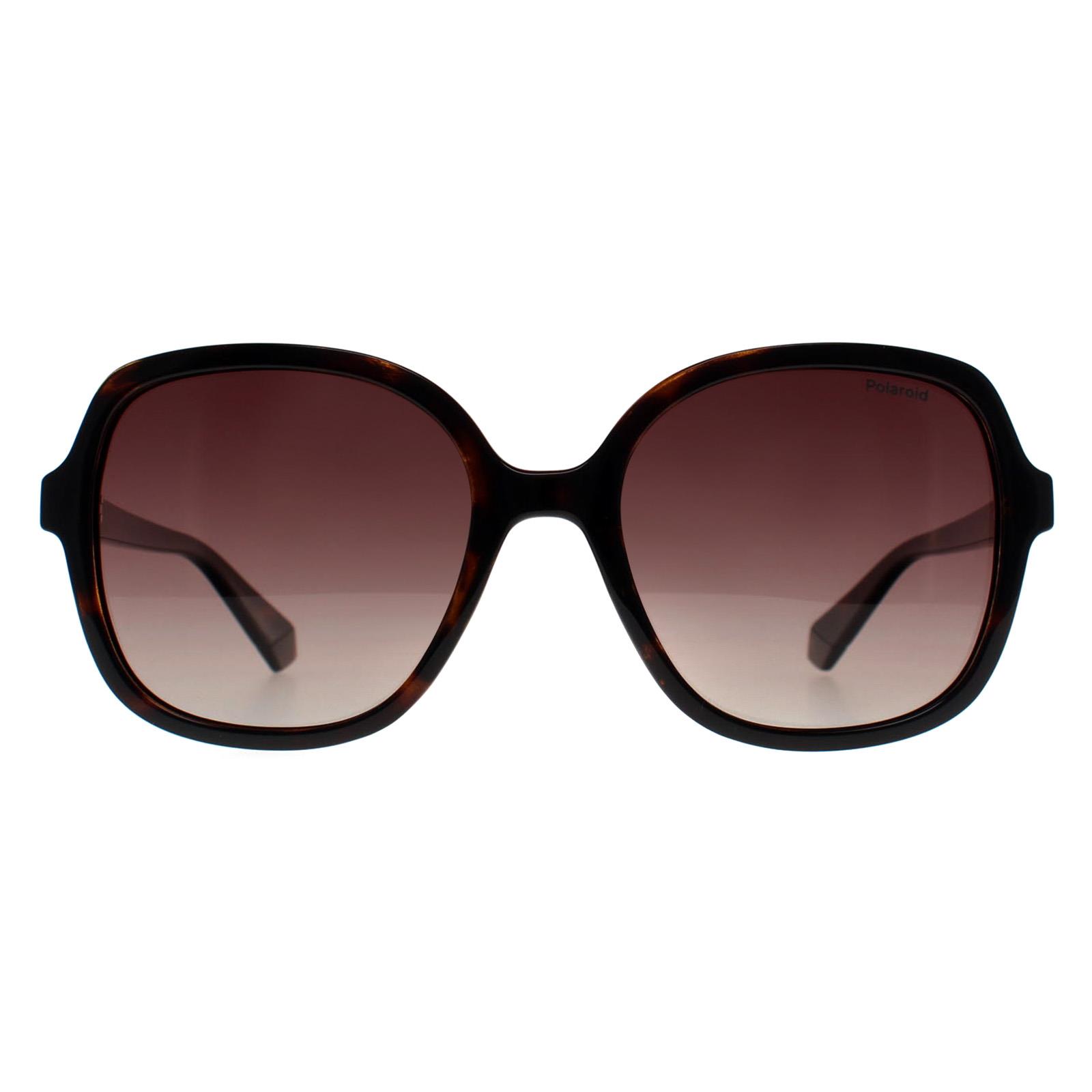 Brown Square Havana Brown Gradient Polarized PLD 4177/S/X, Image 1 of 4