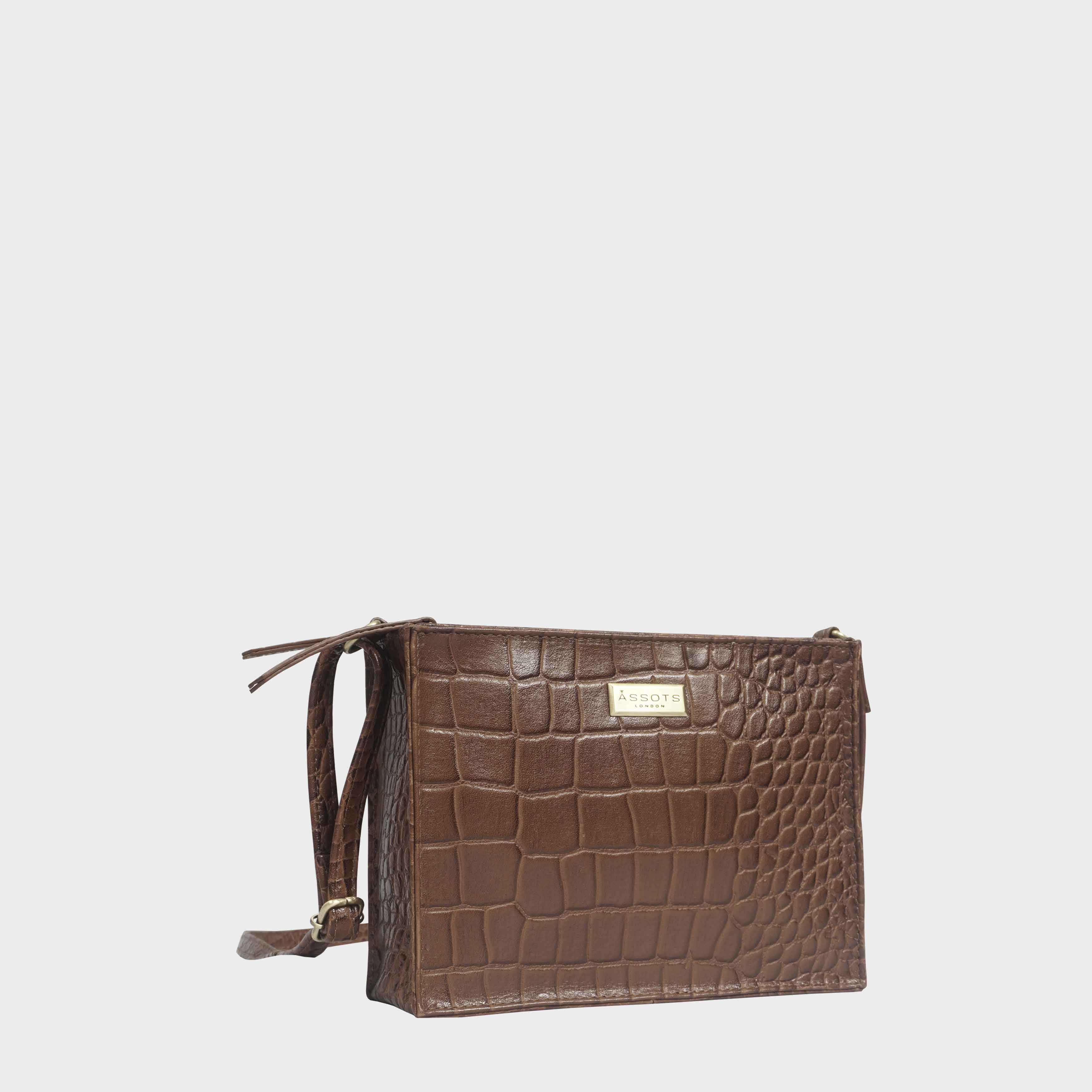 Tan 'SUSAN' Croc Real Leather Rectangle Box Crossbody Bag, Image 1 of 5