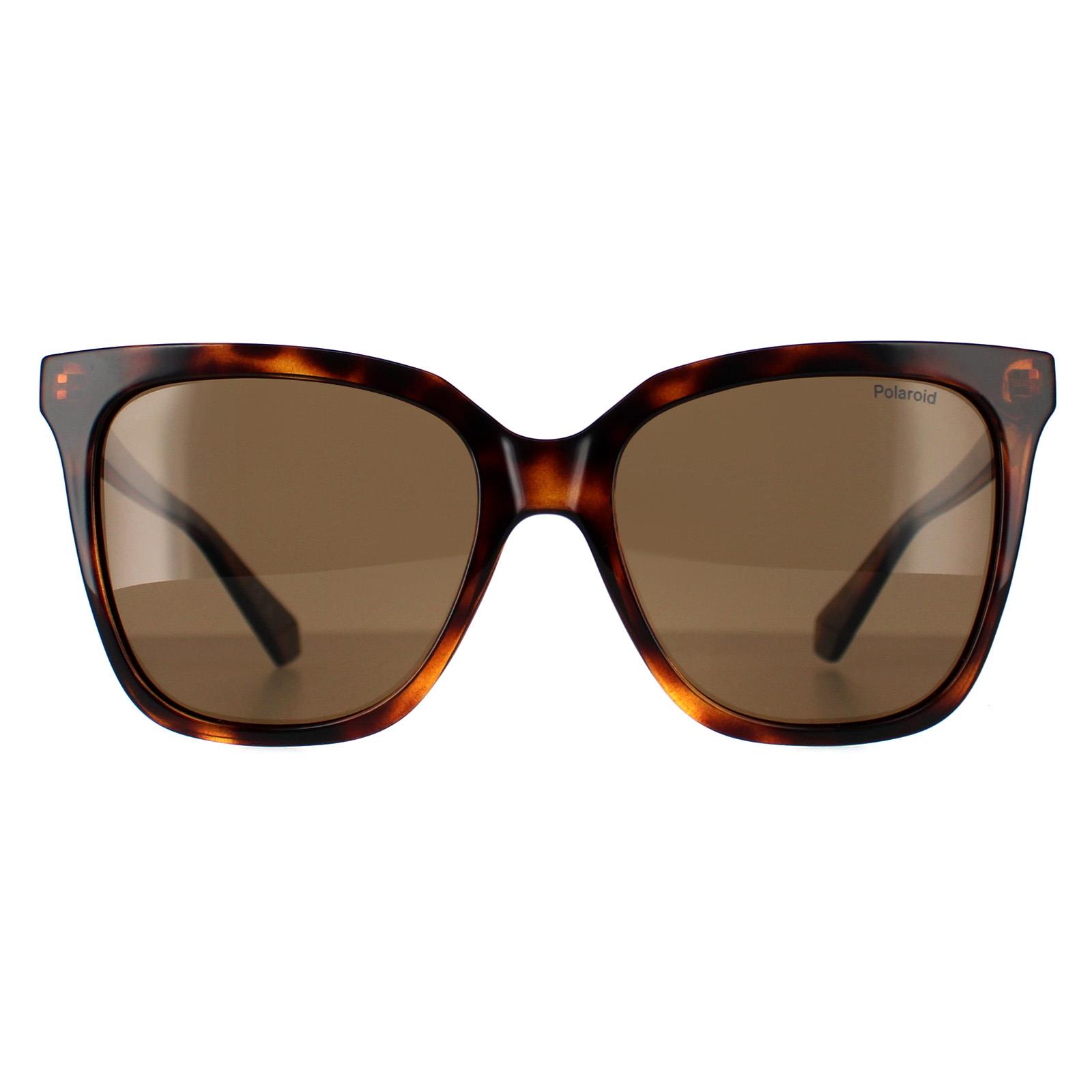 Brown Square Havana Bronze Polarized PLD 4155/S/X, Image 1 of 4