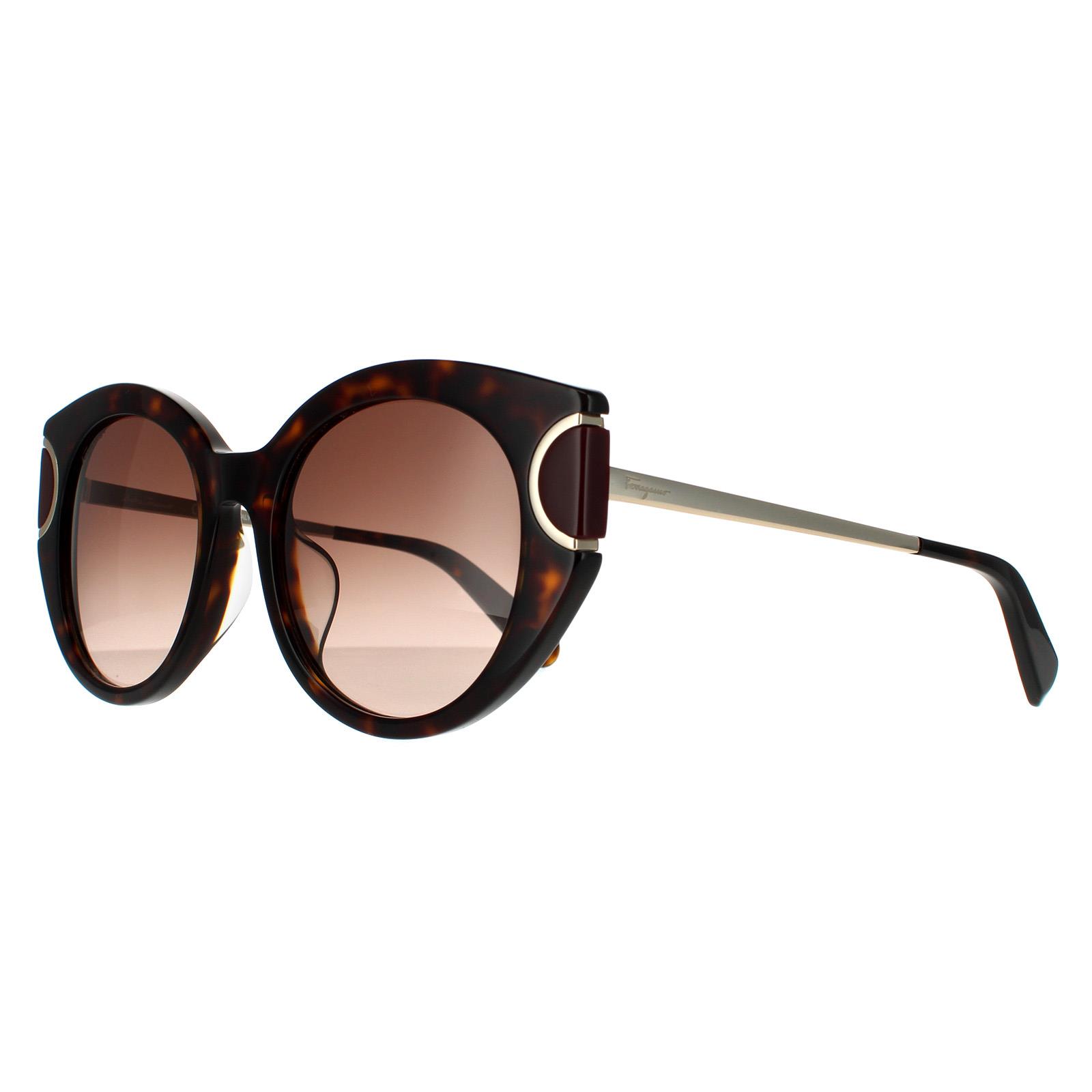 Brown Salvatore Ferragamo Brown Cat Eye Tortoise Brown Gradient Sunglasses, Image 2 of 4