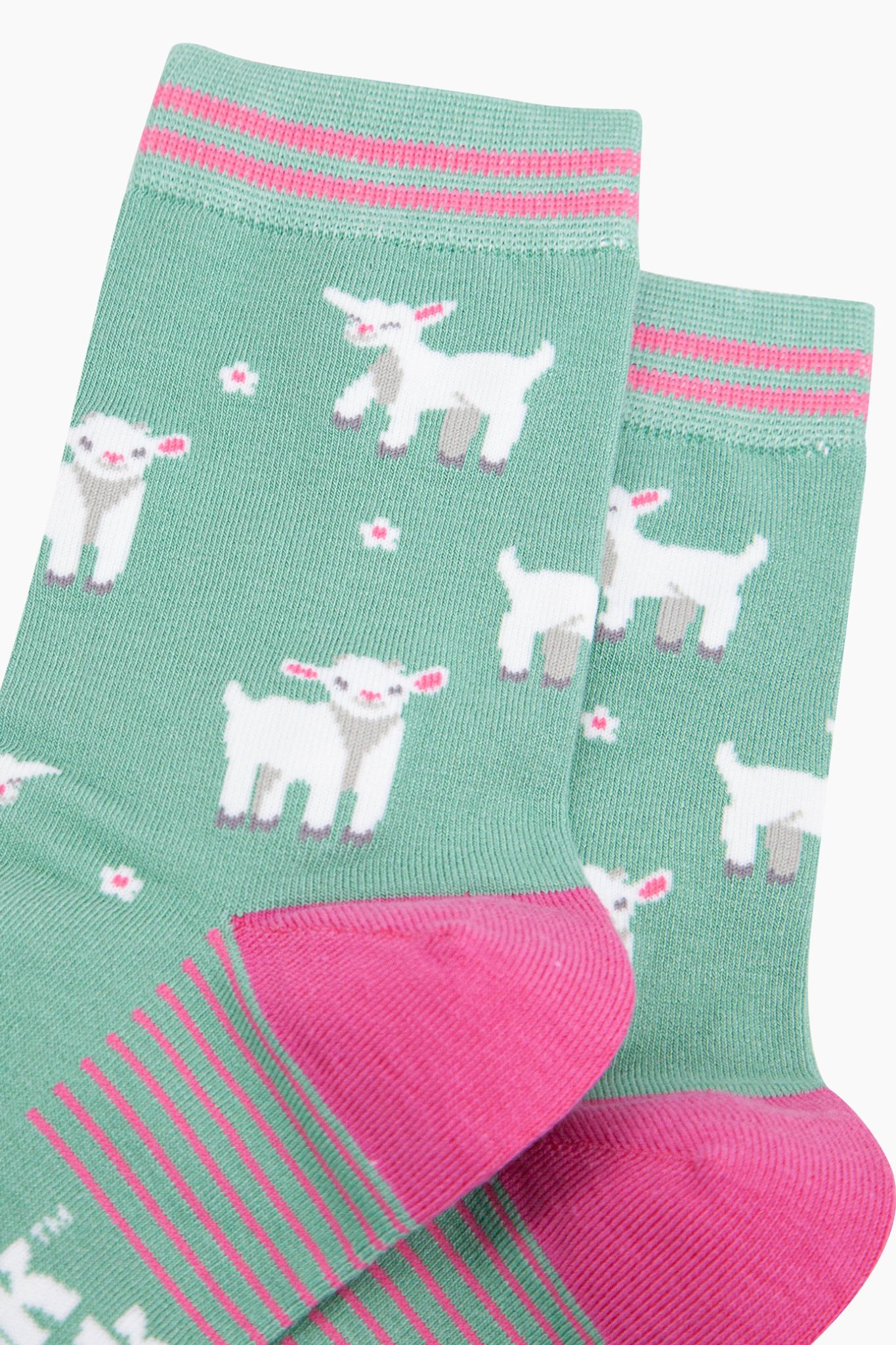 Green Spring Lambs Bamboo Socks in Green, Image 2 of 4
