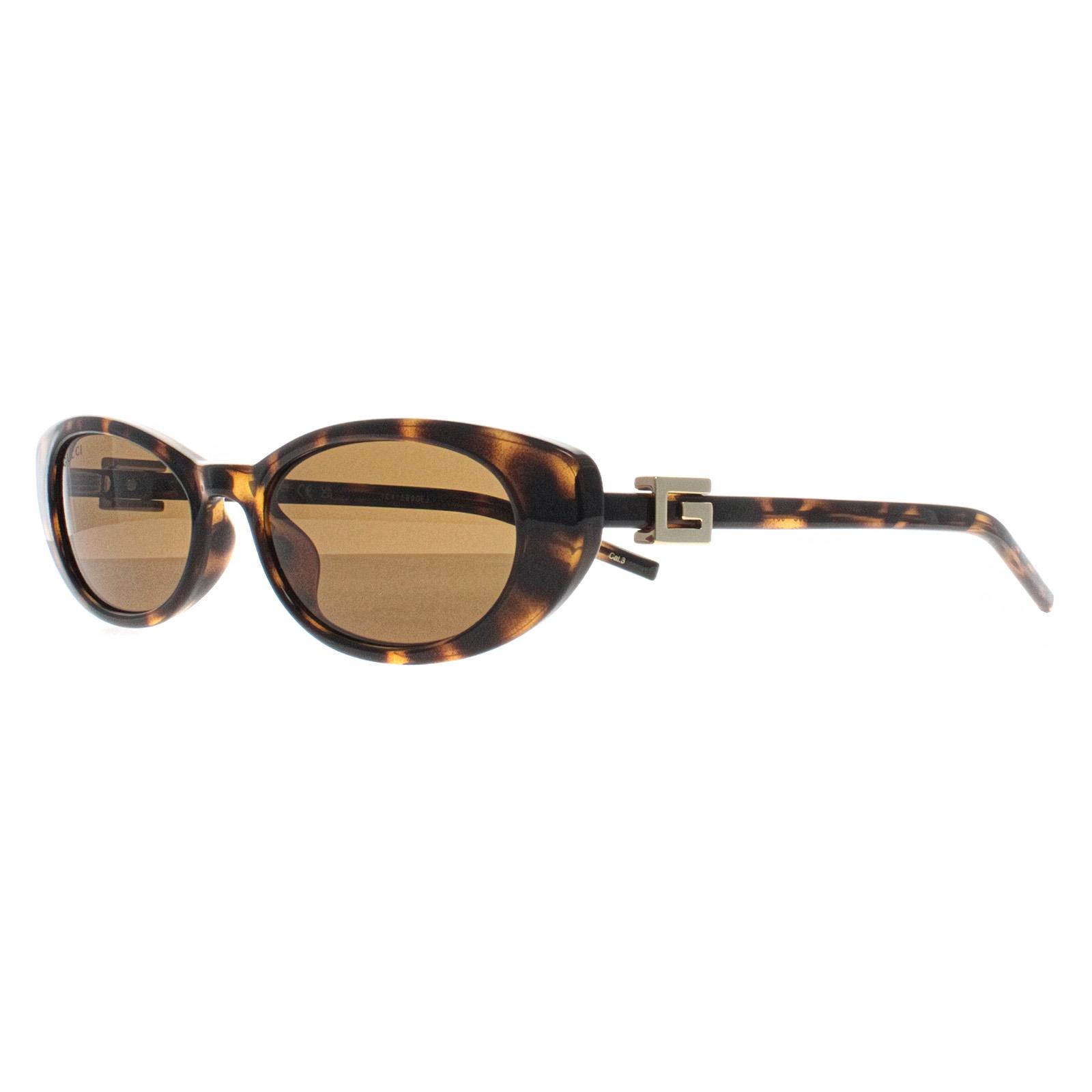 Brown Cat Eye Havana Brown GG1680S, Image 2 of 4
