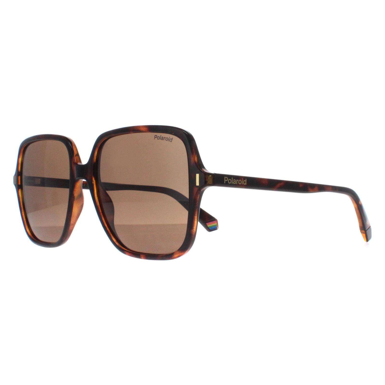 Brown Square Havana Bronze Polarized PLD 6219/S, Image 2 of 4
