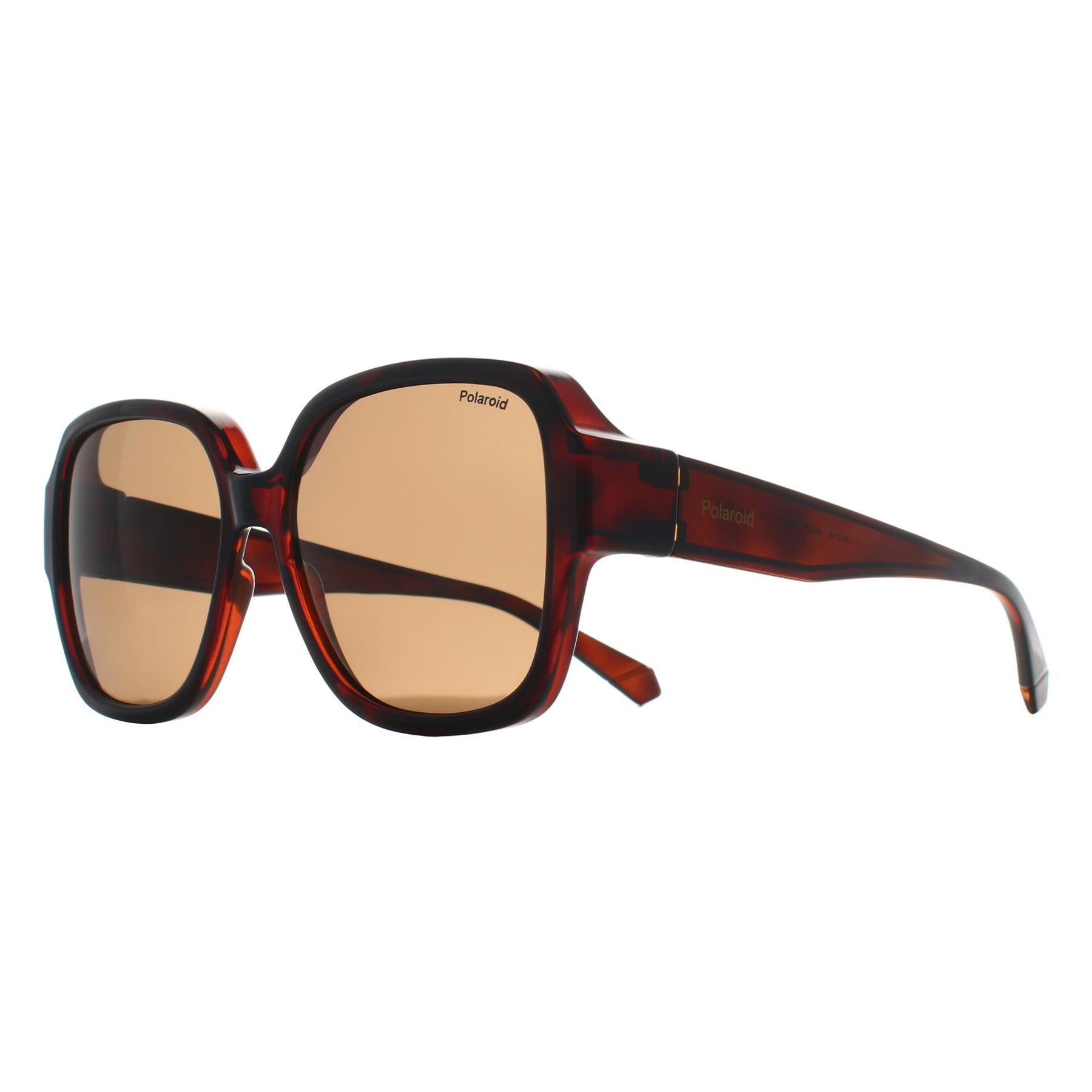 Brown Square Havana Bronze Polarized PLD 9021/S, Image 2 of 3