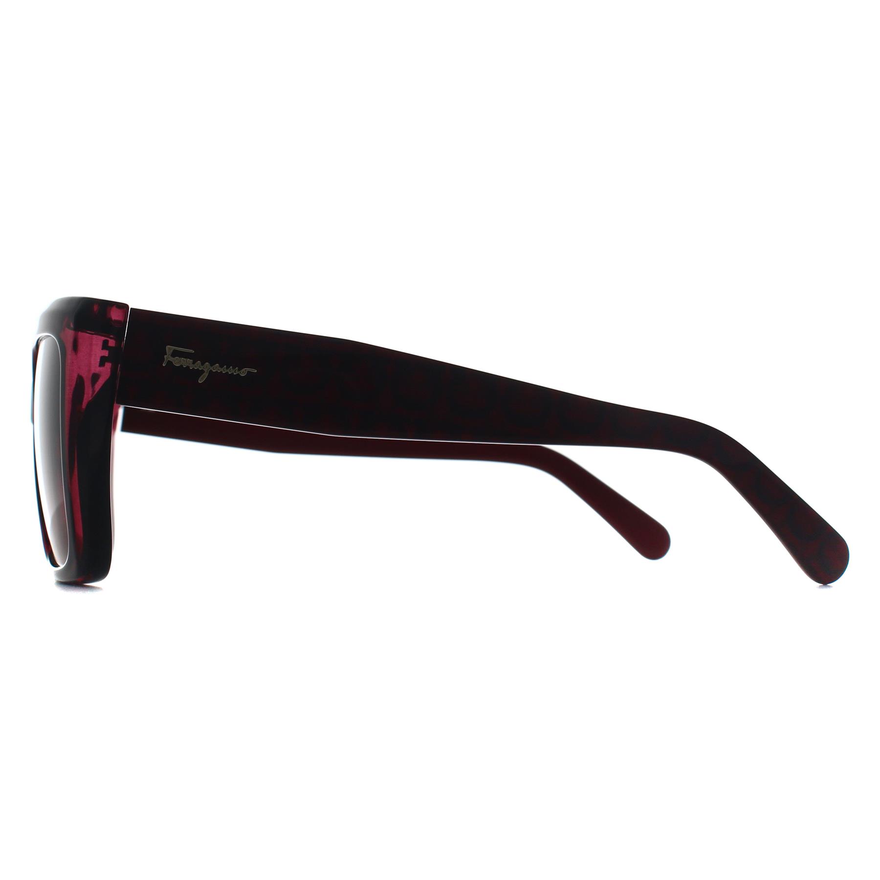 Pink Salvatore Ferragamo Pink Square Transparent Cyclamen Brown Gradient SF1042S, Image 3 of 3
