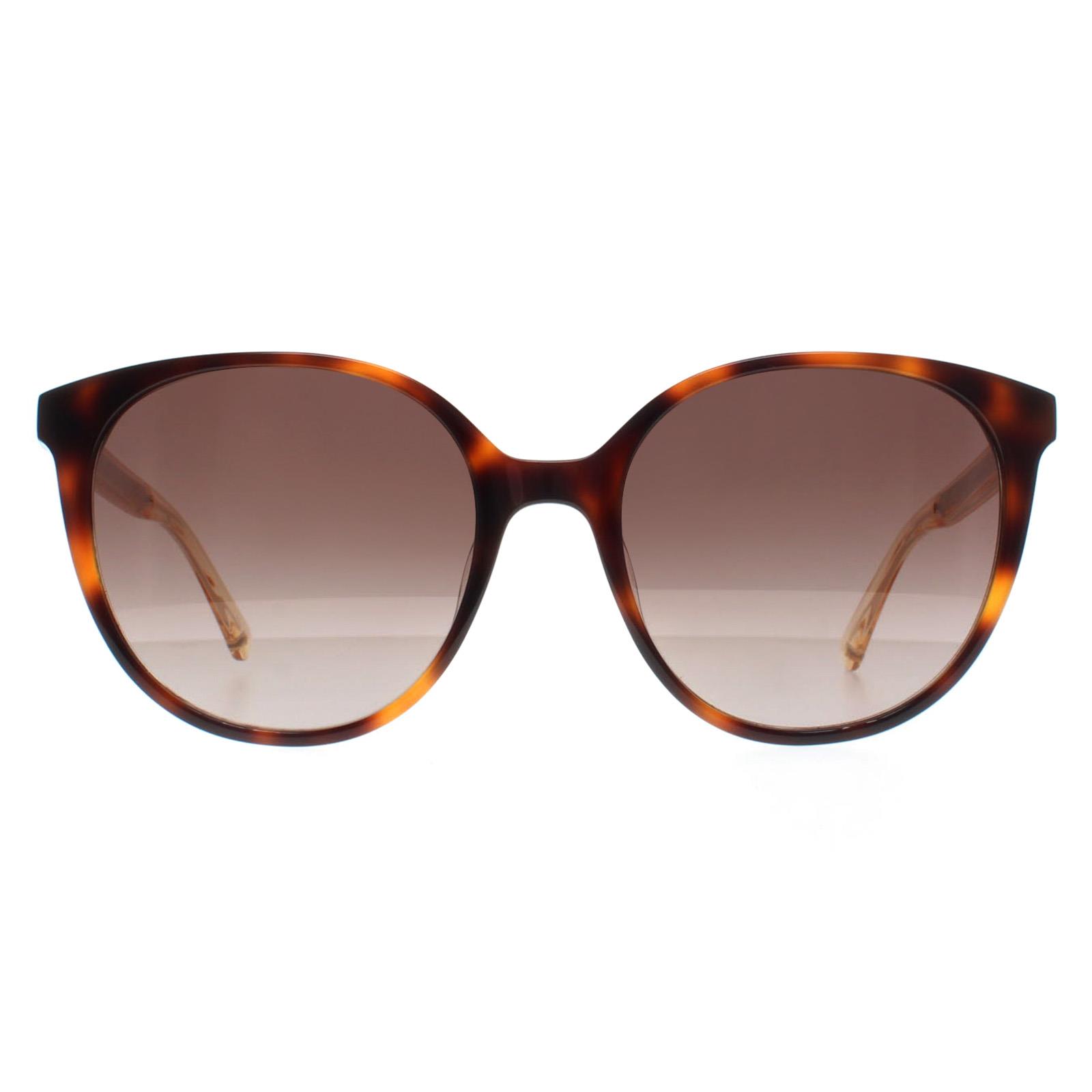 Brown Oval Havana Brown Gradient Kimberlyn/G/S, Image 1 of 4