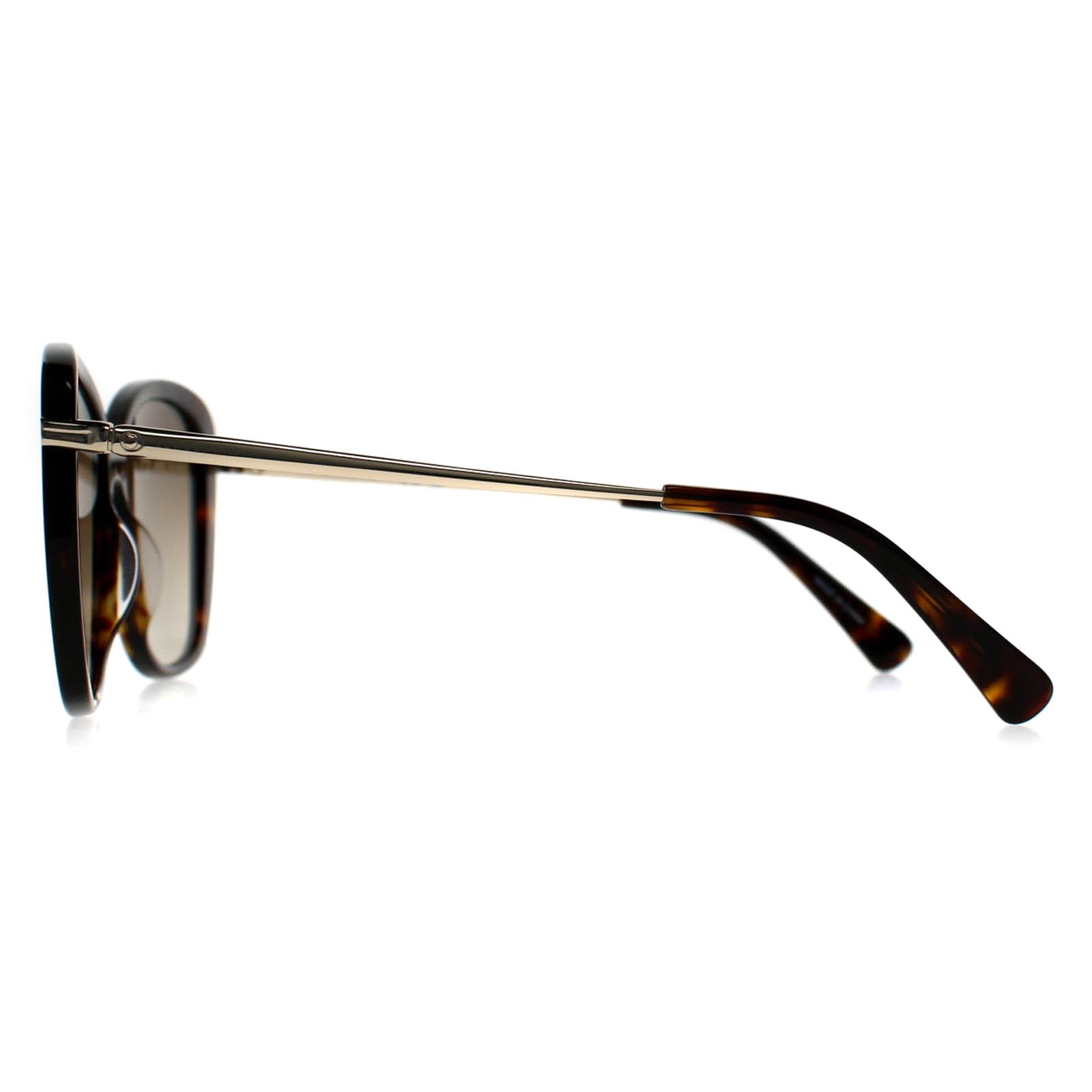 Brown Butterfly Havana Brown Gradient LO616S, Image 3 of 3