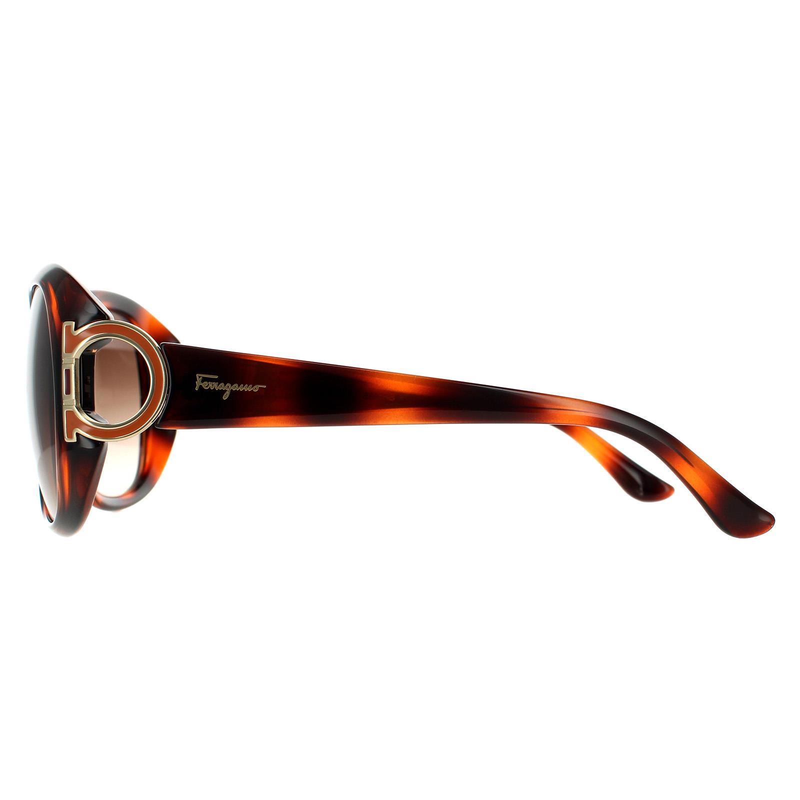 Brown Salvatore Ferragamo Brown Oval Tortoise Brown Gradient Sunglasses, Image 3 of 4