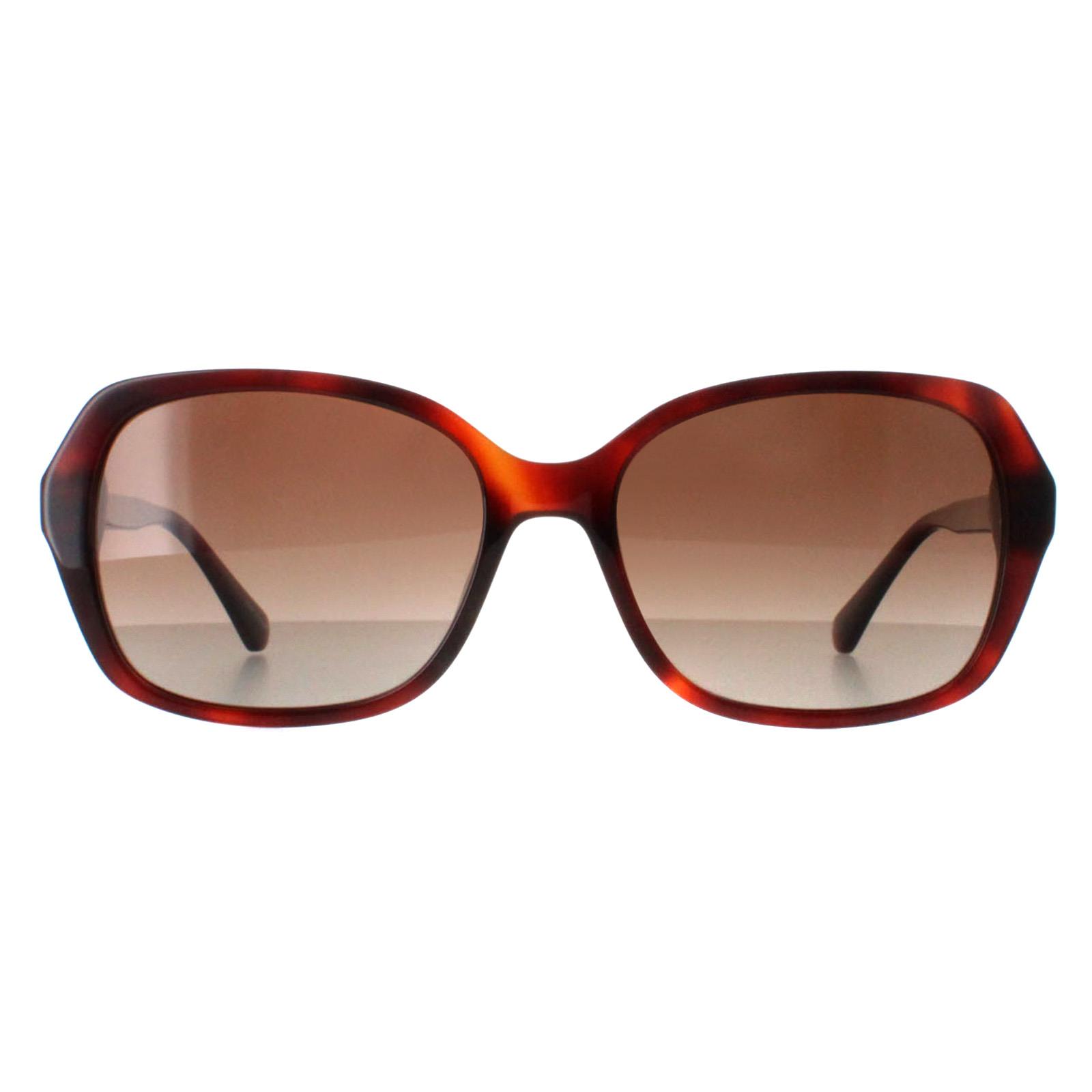 Buttefly Havana Brown Gradient Polarized Yvette/S, Image 1 of 4