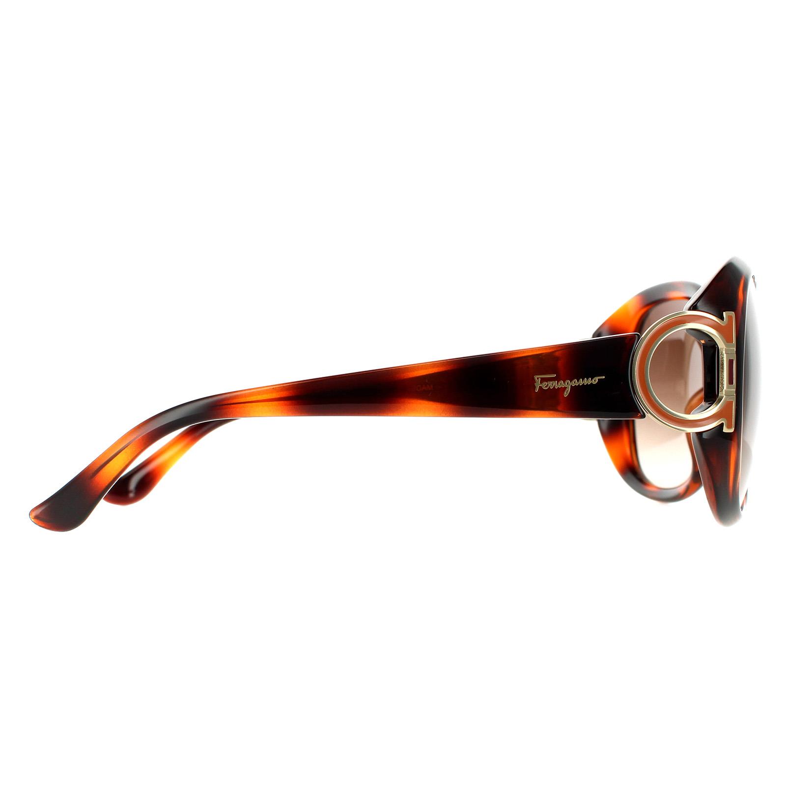 Brown Salvatore Ferragamo Brown Oval Tortoise Brown Gradient Sunglasses, Image 4 of 4
