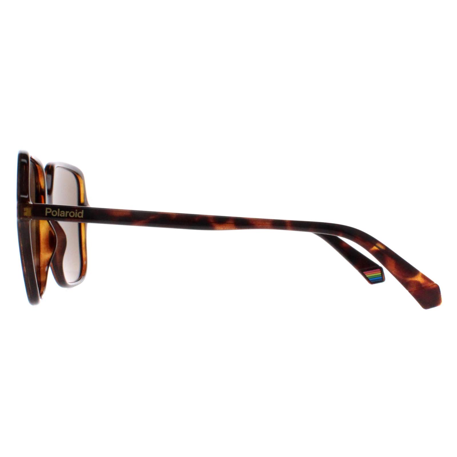 Brown Square Havana Bronze Polarized PLD 6219/S, Image 3 of 4