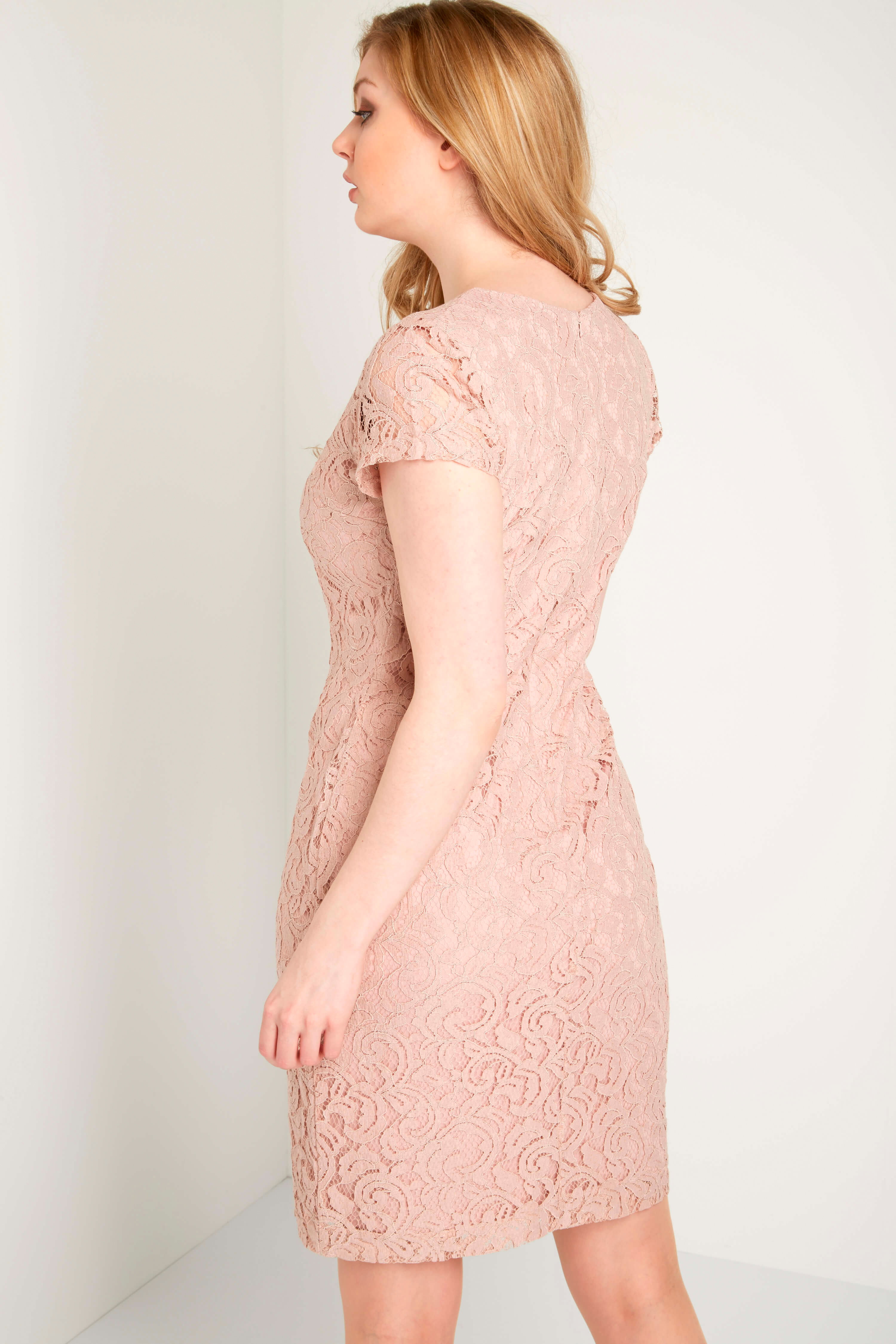 Rose V-Neck Lace Dress, Image 3 of 3