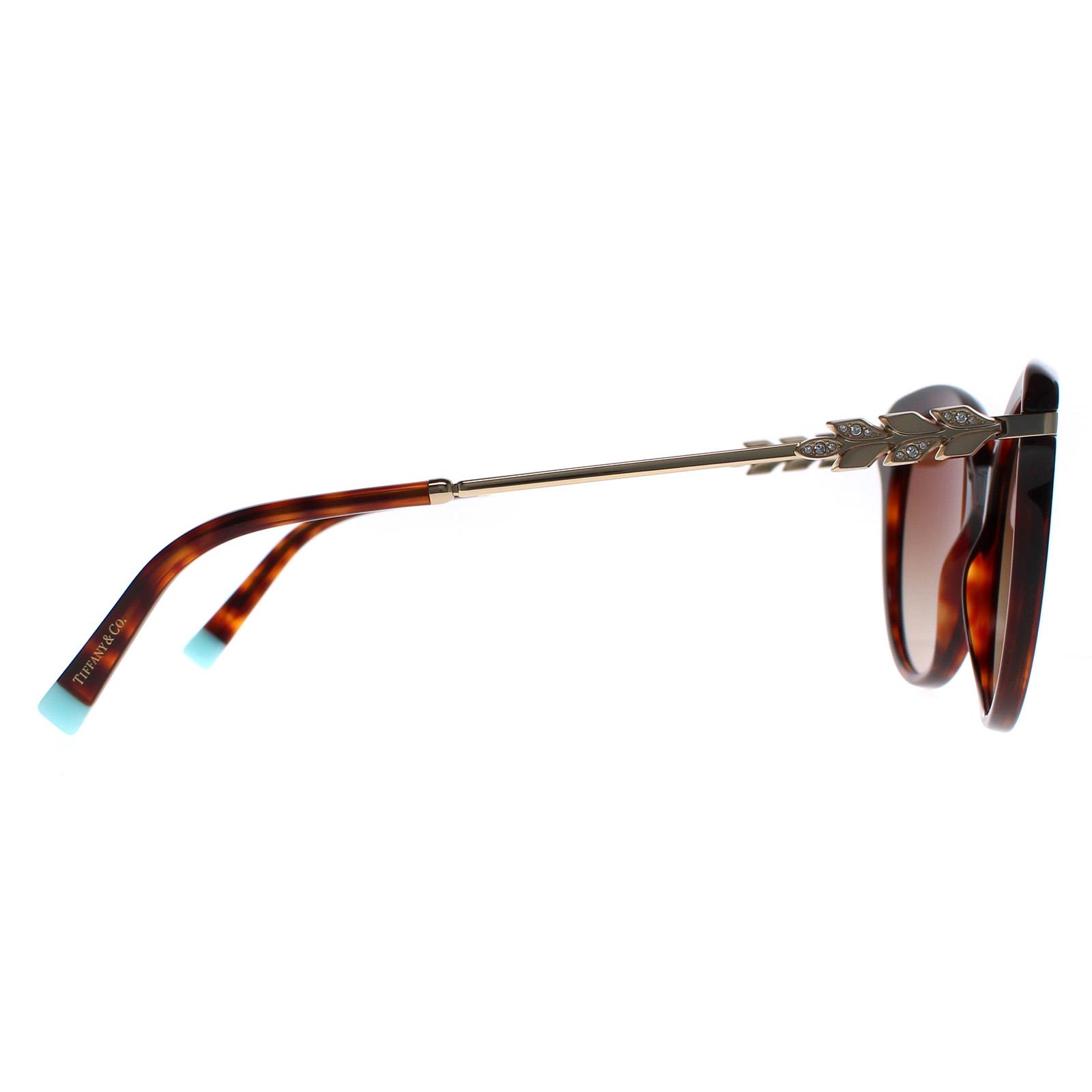 Brown Cat Eye Havana Brown Gradient TF4189, Image 4 of 6