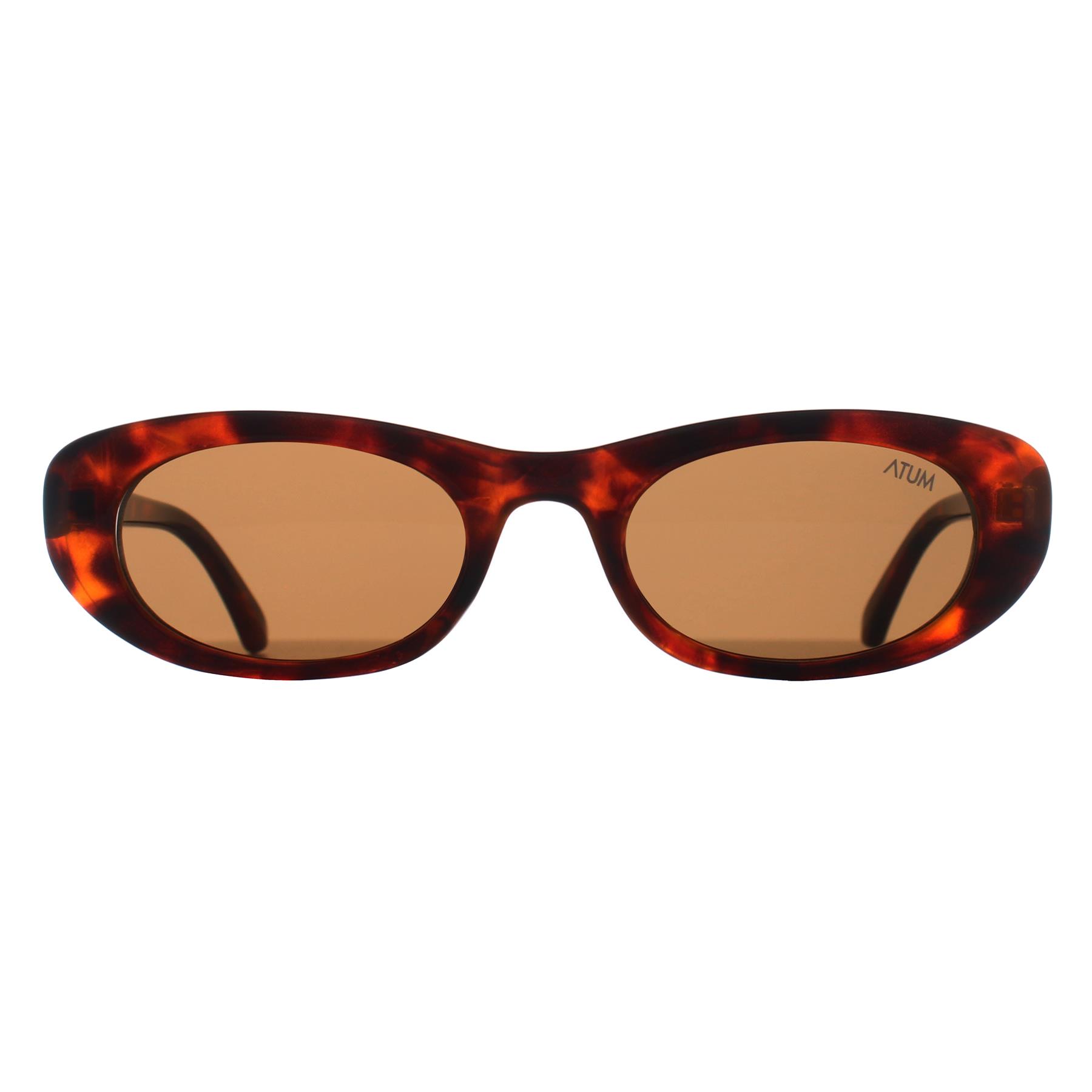 Brown Oval Shiny Brown Tortoise Gold Brown Noctis, Image 1 of 3