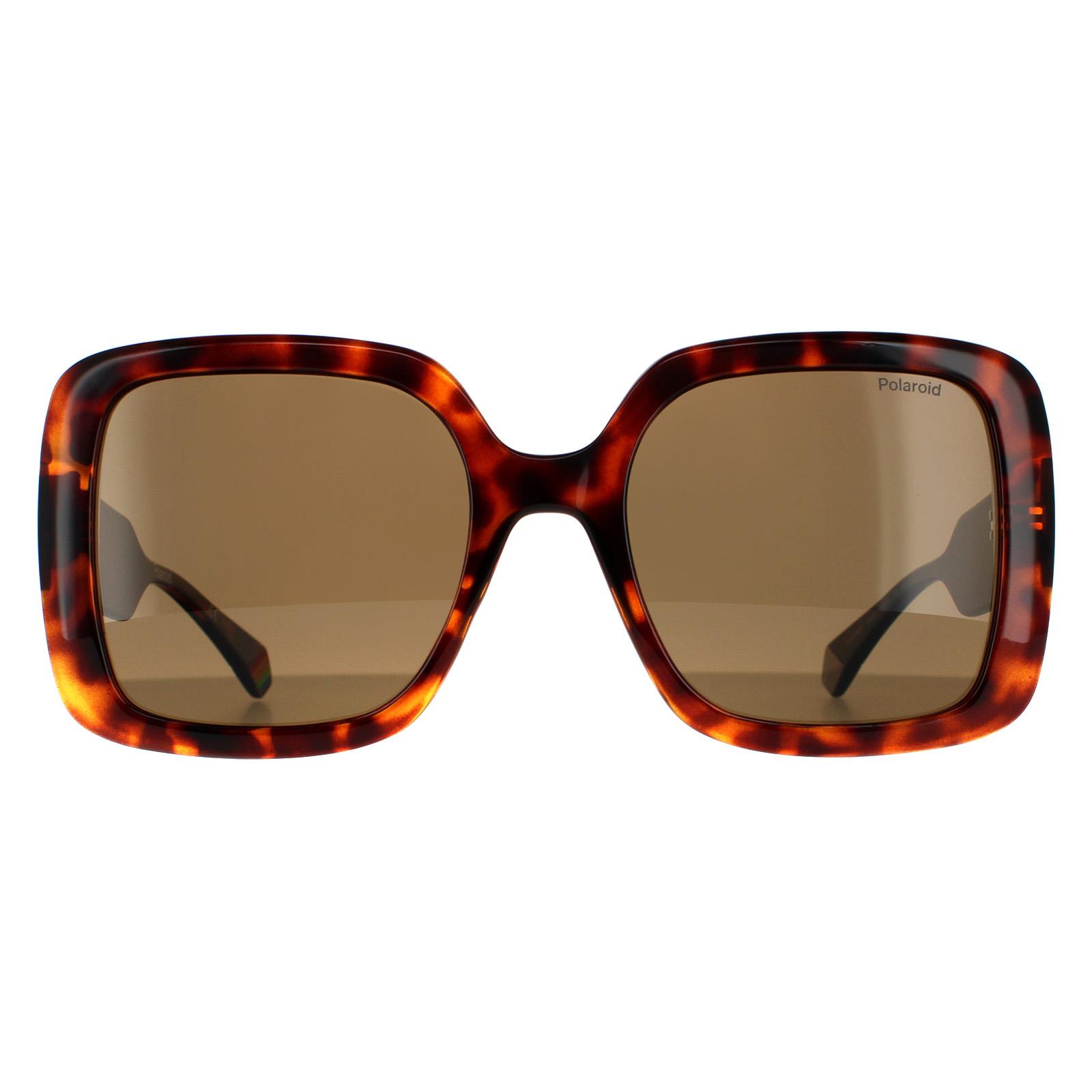 Brown Square Dark Havana Bronze Polarized Sunglasses, Image 1 of 4