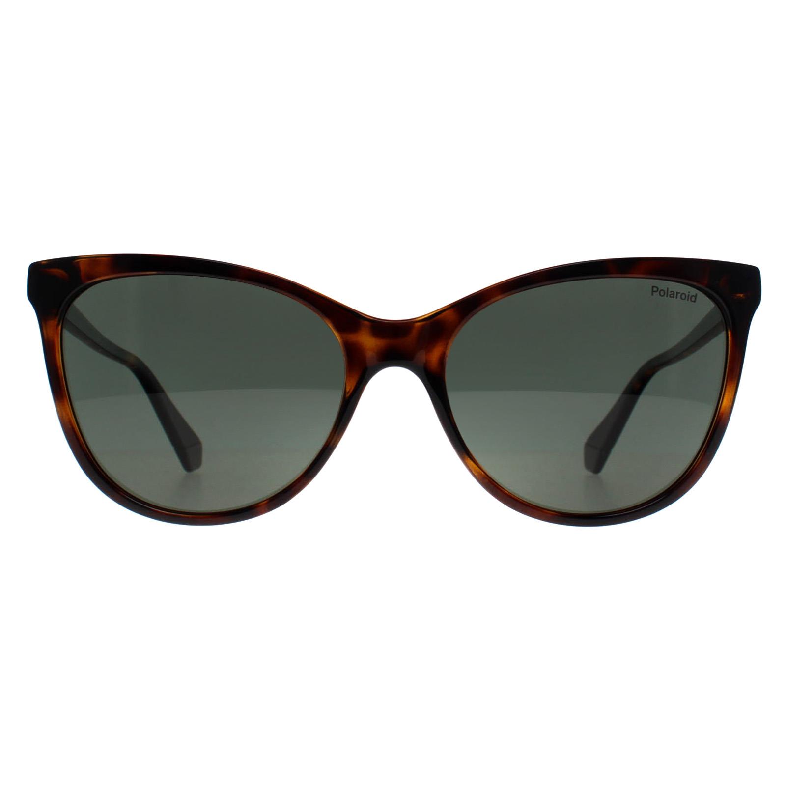 Brown Cat Eye Havana Green Polarized PLD 4179/S, Image 1 of 4