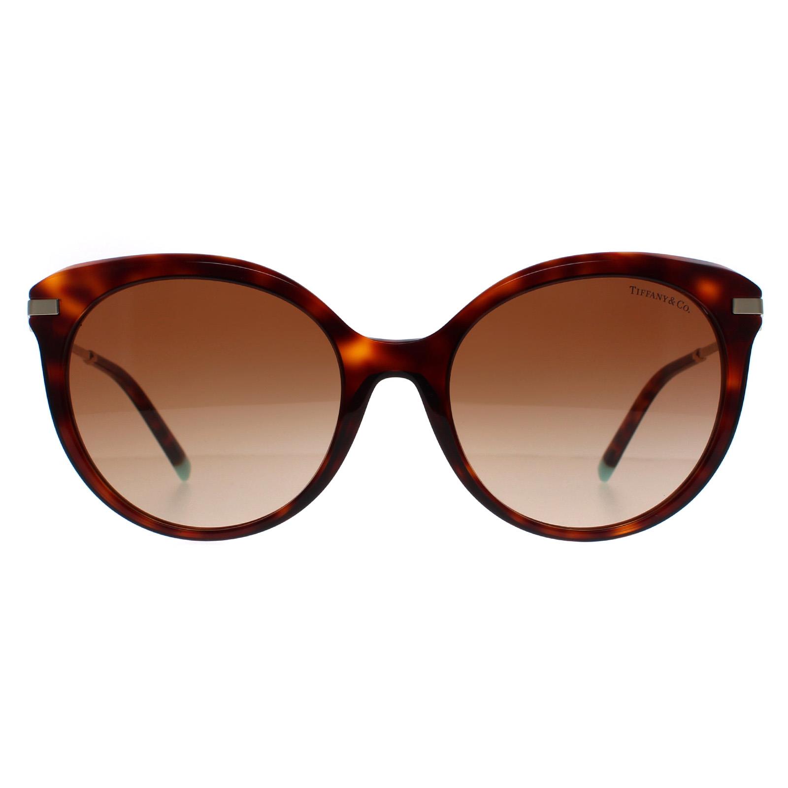 Brown Cat Eye Havana Brown Gradient TF4189, Image 1 of 6