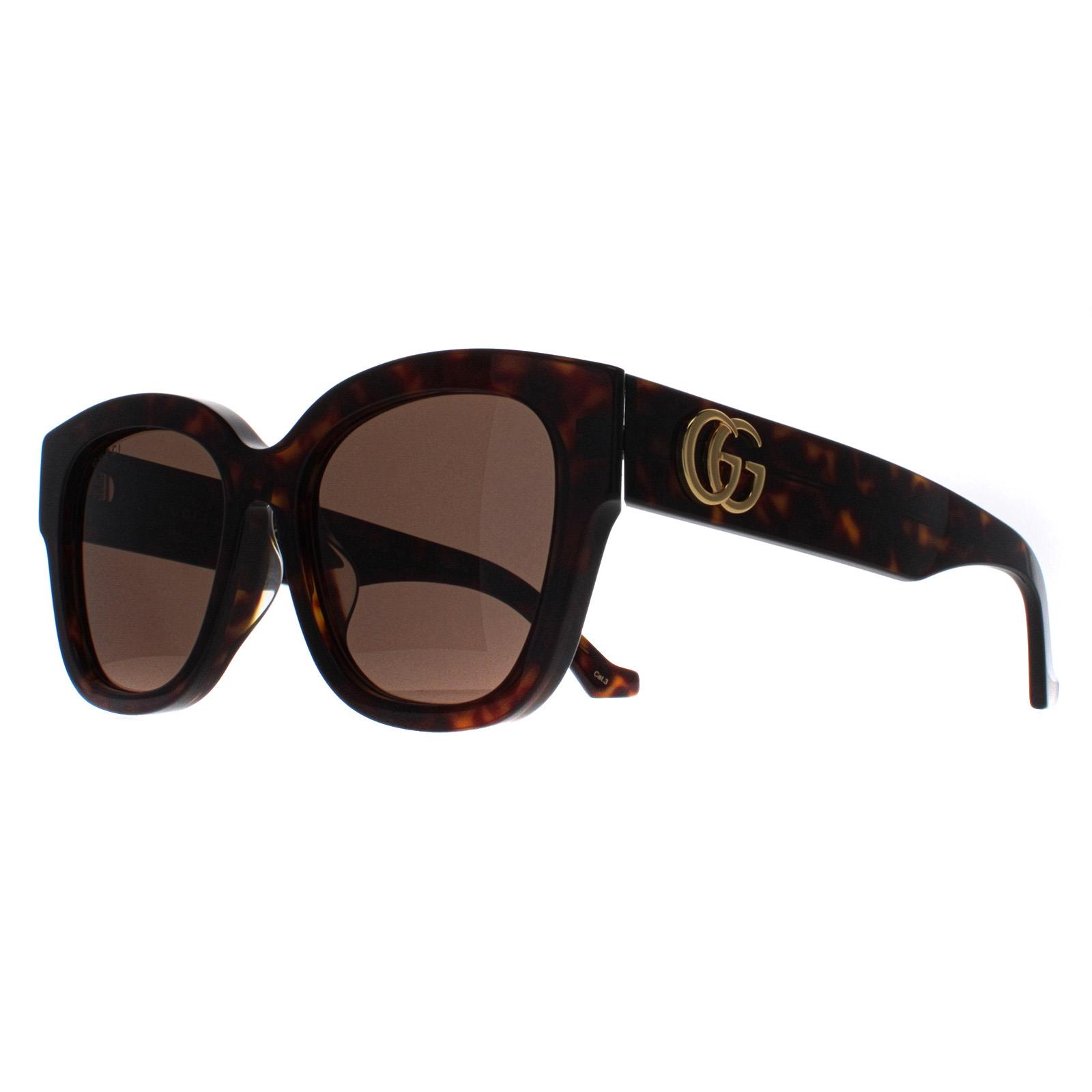 Brown Butterfly Havana Brown GG1550SK, Image 2 of 4