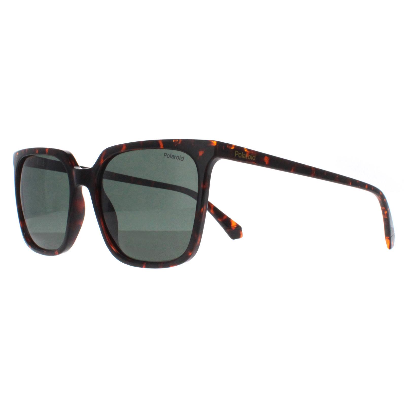 Brown Square Havana Green Polarized PLD 4163/S, Image 2 of 4