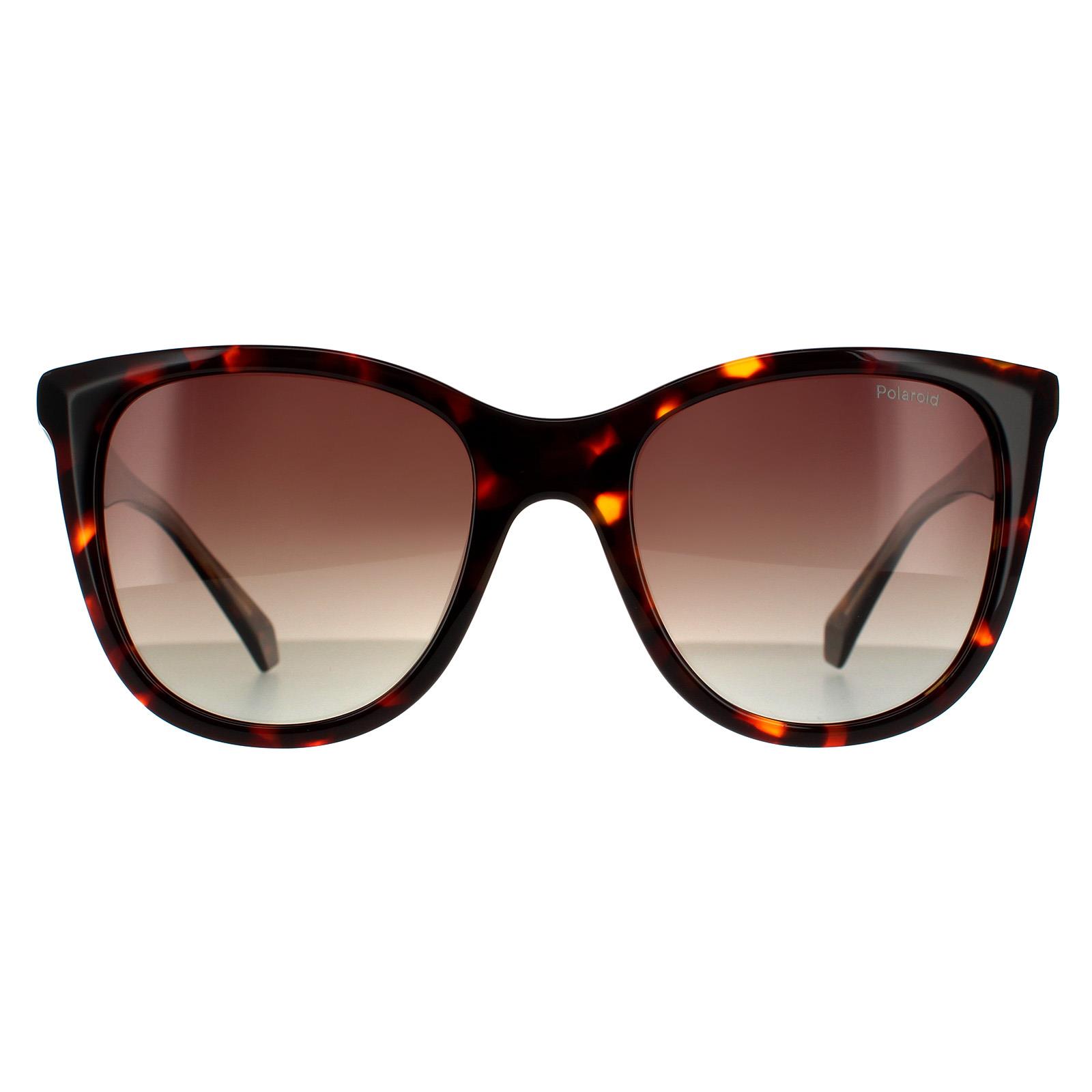 Brown Polaroid Brown Square Havana Brown Brown Gradient Polarized, Image 1 of 4