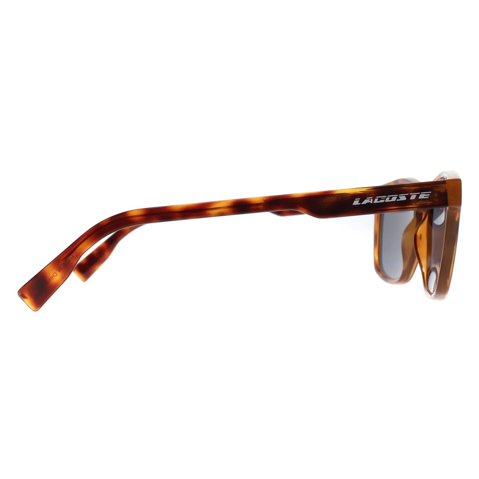Brown Lacoste Brown Cat Eye Tortoise Blue L988S, Image 4 of 4