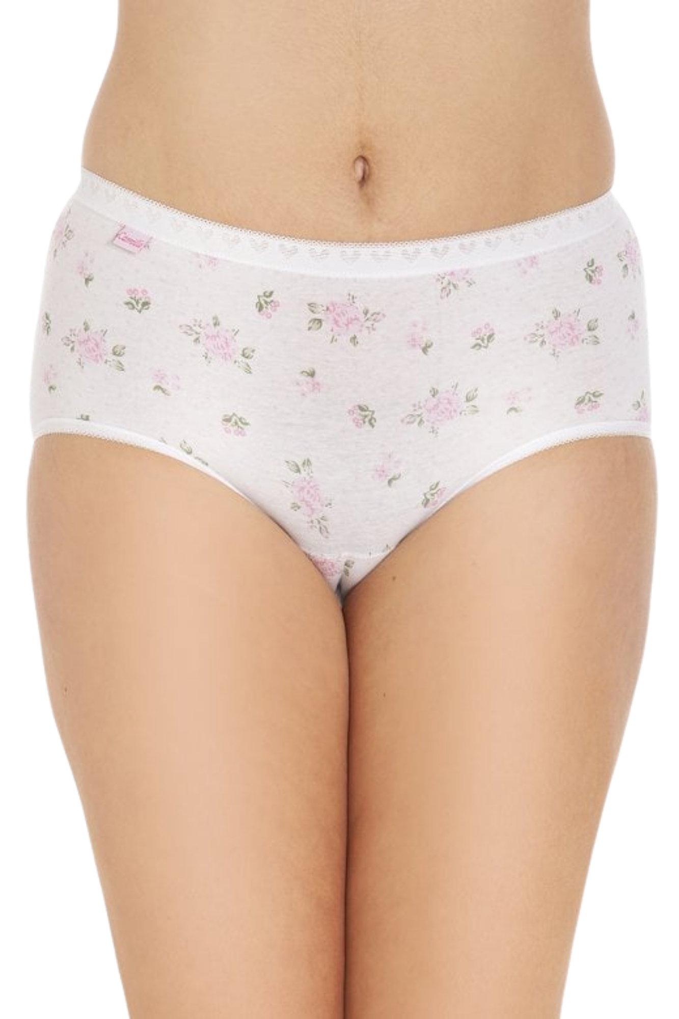 Multi Camille Lingerie Multi 3 Pack Cotton Maxi Briefs, Image 4 of 5