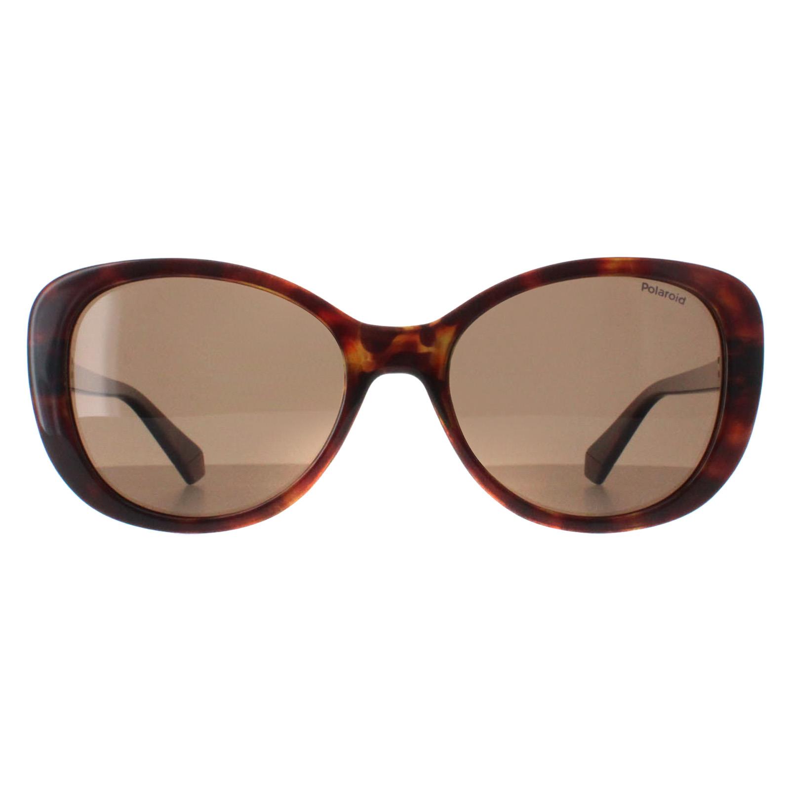Brown Butterfly Havana Bronze Polarized PLD 4154/S/X, Image 1 of 4
