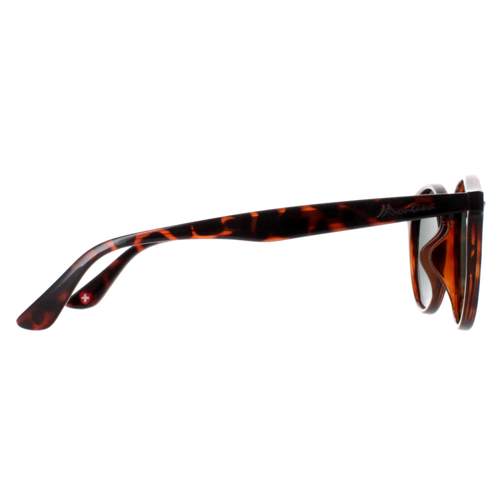 Brown Montana Brown Round Turtle G15 Polarized MP20, Image 4 of 4