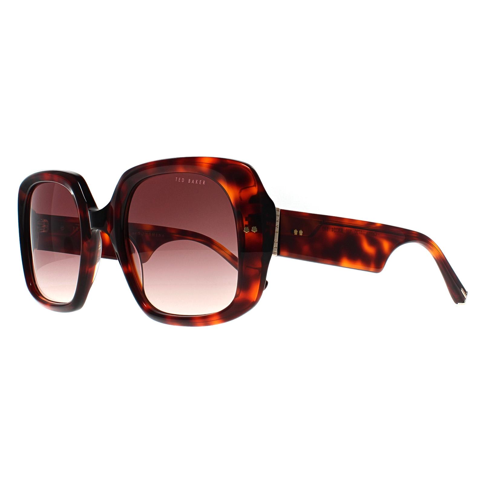 Brown Ted Baker Brown Square Tortoise Brown Gradient TB1730 Catrina, Image 2 of 4