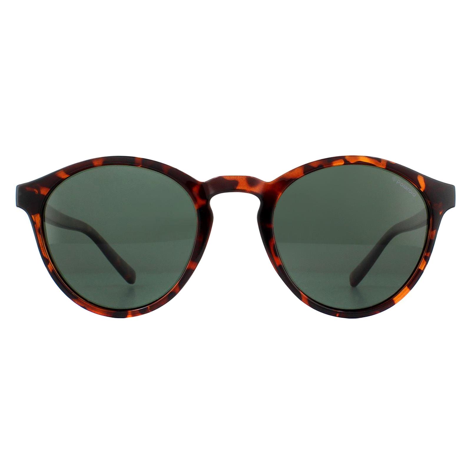 Round Havana Green Polarized Sunglasses, Image 1 of 4