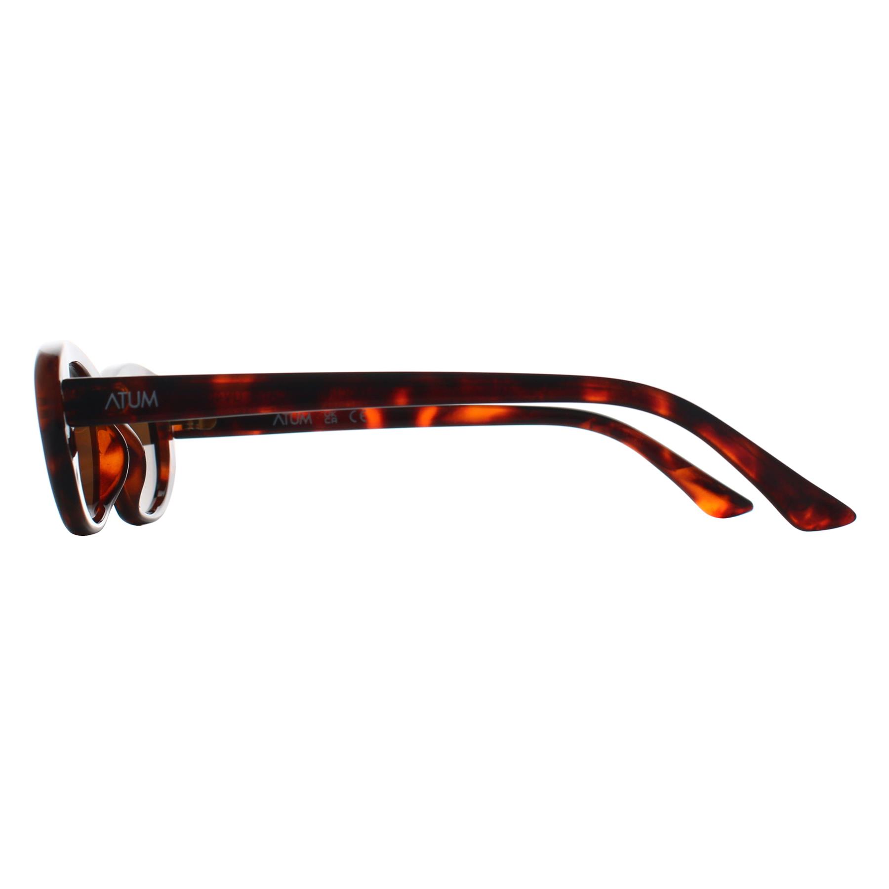 Brown Oval Shiny Brown Tortoise Gold Brown Noctis, Image 3 of 3