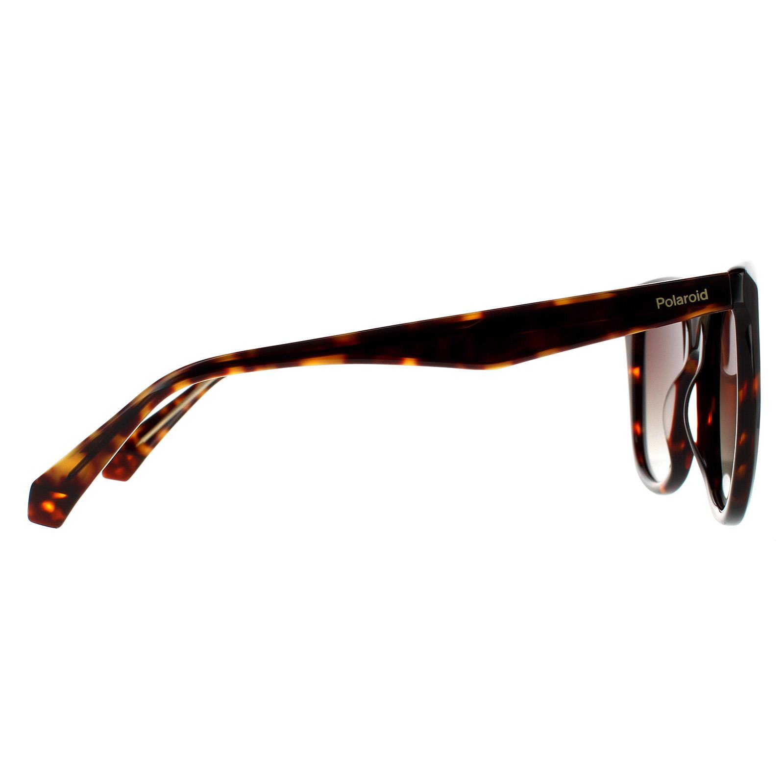 Brown Polaroid Brown Square Havana Brown Brown Gradient Polarized, Image 4 of 4